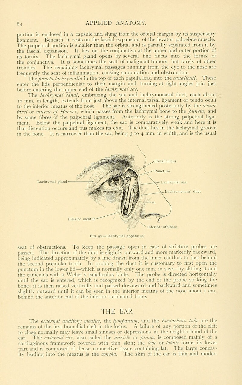 portion is enclosed in a capsule and slung from the orbital margin by its suspensory lio-ament. Beneath, it rests on the fascial expansion of the levator palpebrae muscle. The palpebral portion is smaller than the orbital and is partially separated from it by the fascial expansion. It lies on the conjunctiva at the upper and outer portion of its forni.x. The lachrvmal gland opens by se\'eral fine ducts into the fornLx of the conjunctiva. It is sometimes the seat of malignant tumors, but rarely of other troubles. The remaining lachr3-mal passages running from the eye to the nose are frequently the seat of inflammation, causing suppuration and obstruction. Th&pioida lachrymalia in the top of each papilla lead into the canalicidi. These enter the lids perpendicular to their margin and turning at right angles join just before entering the upper end of the lachrymal sac. The lacluymal canal, embracing the sac and lachrymonasal duct, each about, 12 mm. in length, extends from just abo\-e the internal tarsal ligament or tendo oculi to the inferior meatus of the nose. The sac is strengthened posteriorly by the tensor tarsi or muscle of Horner, which passes from the lachrymal bone to the pitncta, and by some fibres of the palpebral ligament. Anteriorly is the strong palpebral liga- ment. Below the palpebral ligament, the sac is comparatively weak and here it is that distention occurs and pus makes its exit. The duct lies in the lachrymal groove in the bone. It is narrower than the sac, being 3 to 4 mm. in width, and is the usual Canaliculcus Punctum Lachr%-mal sac Lachrymonasal duct Inferior turbinate Fig. 9S.—Lachrymal apparatus. seat of obstructions. To keep the passage open in case of stricture probes are passed. The direction of the duct is slightly outward and more markedly backward, being indicated approximately by a line drawn from the inner canthus to just behind the second premolar tooth. In probing the duct it is customary to first open the punctum in the lower lid—which is normally only one mm. in size—by slitting it and the caniculus with a Weber's canaliculus knife. The probe is directed horizontalh- until the sac is entered, which is recognized by the end of the probe striking the bone; it is then raised vertically and passed downward and backward and sometimes slightly outward until it can be seen in the inferior meatus of the nose about i cm. behind the anterior end of the inferior turbinated bone. THE EAR. The external anditoiy meatus, the tympanum, and the Eustachian tube are the remains of the first branchial cleft in the foetus. A failure of any portion of the cleft to close normally may leave small sinuses or depressions in the neighborhood of the ear. The external ear, also called the auricle or pinna, is composed mainly of a cartilaginous framework co\-ered with thin skin; the lobe or lobule forms its lower part and is composed of dense connective tissue containing fat. The large concav- itv leading into the meatus is the concha. The skin of the ear is thin and moder-