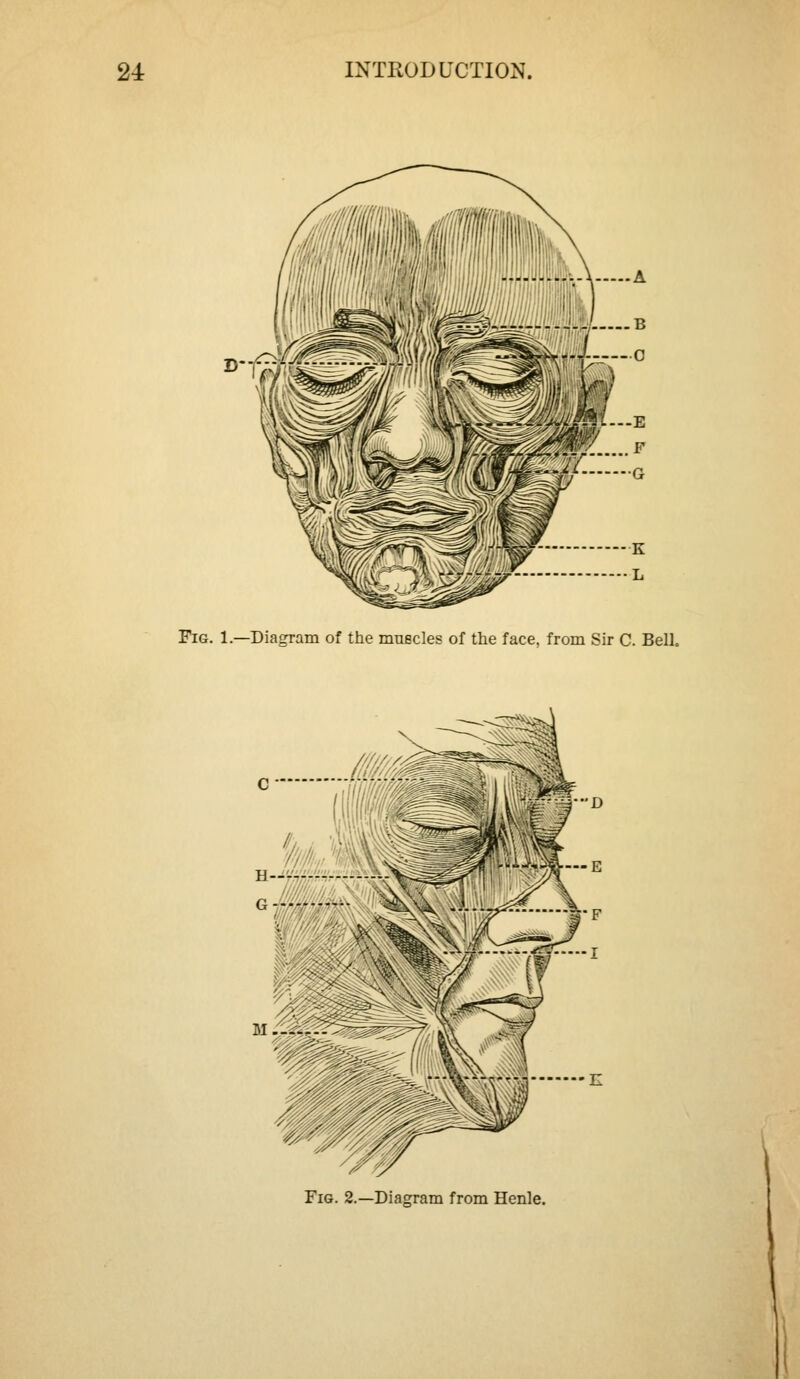 Fig. 1.—Diagram of the muscles of the face, from Sir C. Bell. Fig. 2.—Diagram from Henle.