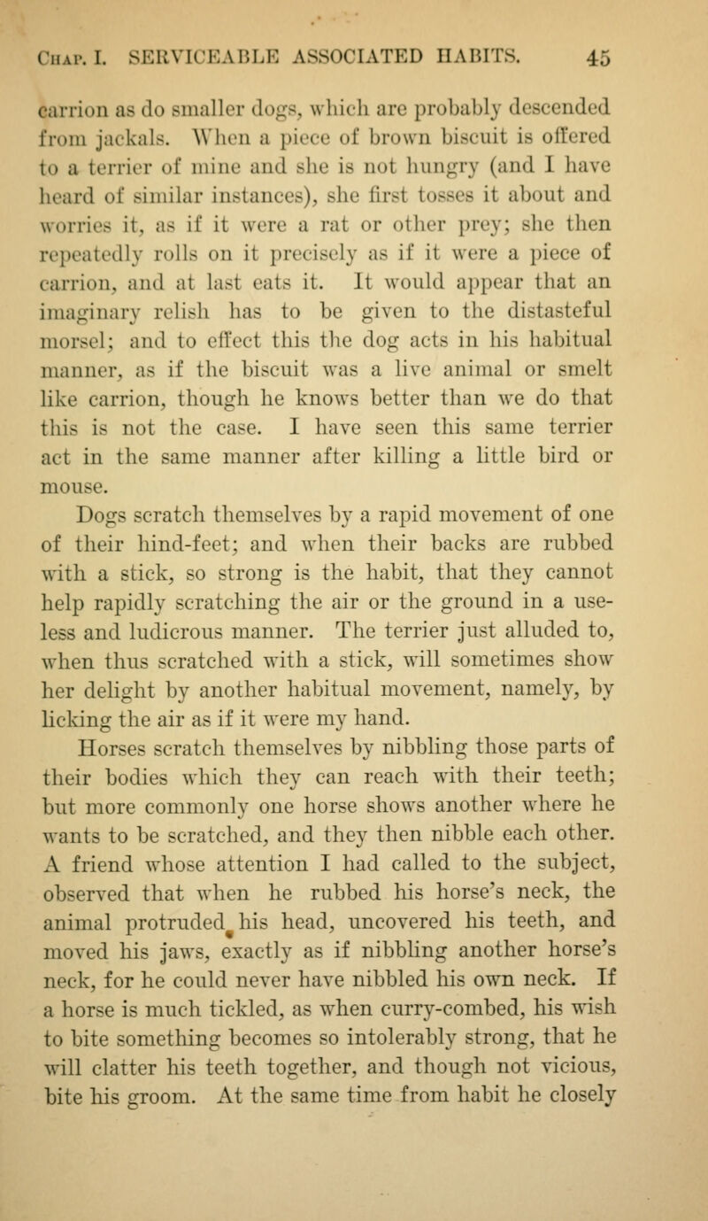 carrion as do smaller dogs, which are probably descended from jackals. AVlion a piece of brown biscuit is oil'ered to a terrier of mine and she is not hungry (and I have heard of similar instances), she first tosses it about and worries it, as if it were a rat or other prey; she then repeatedly rolls on it precisely as if it were a piece of carrion, and at last eats it. It would appear that an imaginary relish has to be given to the distasteful morsel; and to effect this the dog acts in his habitual manner, as if the biscuit was a live animal or smelt like carrion, though he knows better than we do that this is not the case. I have seen this same terrier act in the same manner after killing a little bird or mouse. Dogs scratch themselves by a rapid movement of one of their hind-feet; and when their backs are rubbed with a stick, so strong is the habit, that they cannot help rapidly scratching the air or the ground in a use- less and ludicrous manner. The terrier just alluded to, when thus scratched with a stick, will sometimes show her delight by another habitual movement, namely, by licking the air as if it were my hand. Horses scratch themselves by nibbling those parts of their bodies which they can reach with their teeth; but more commonly one horse shows another where he wants to be scratched, and they then nibble each other. A friend whose attention I had called to the subject, observed that when he rubbed his horse's neck, the animal protruded his head, uncovered his teeth, and moved his jaws, exactly as if nibbling another horse's neck, for he could never have nibbled his owm neck. If a horse is much tickled, as when curry-combed, his wish to bite something becomes so intolerably strong, that he will clatter his teeth together, and though not vicious, bite his groom. At the same time from habit he closely