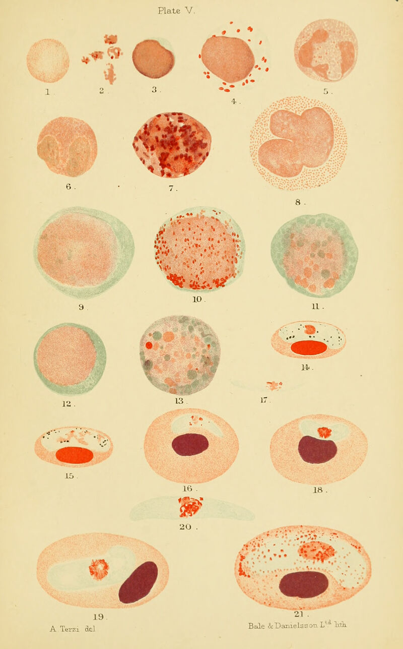 «' 15 19 l»»t ftvV, ' , '-J 10 20 s Ll 11. * * 18 *. 21 Bale &DaiuelssouLu Ink