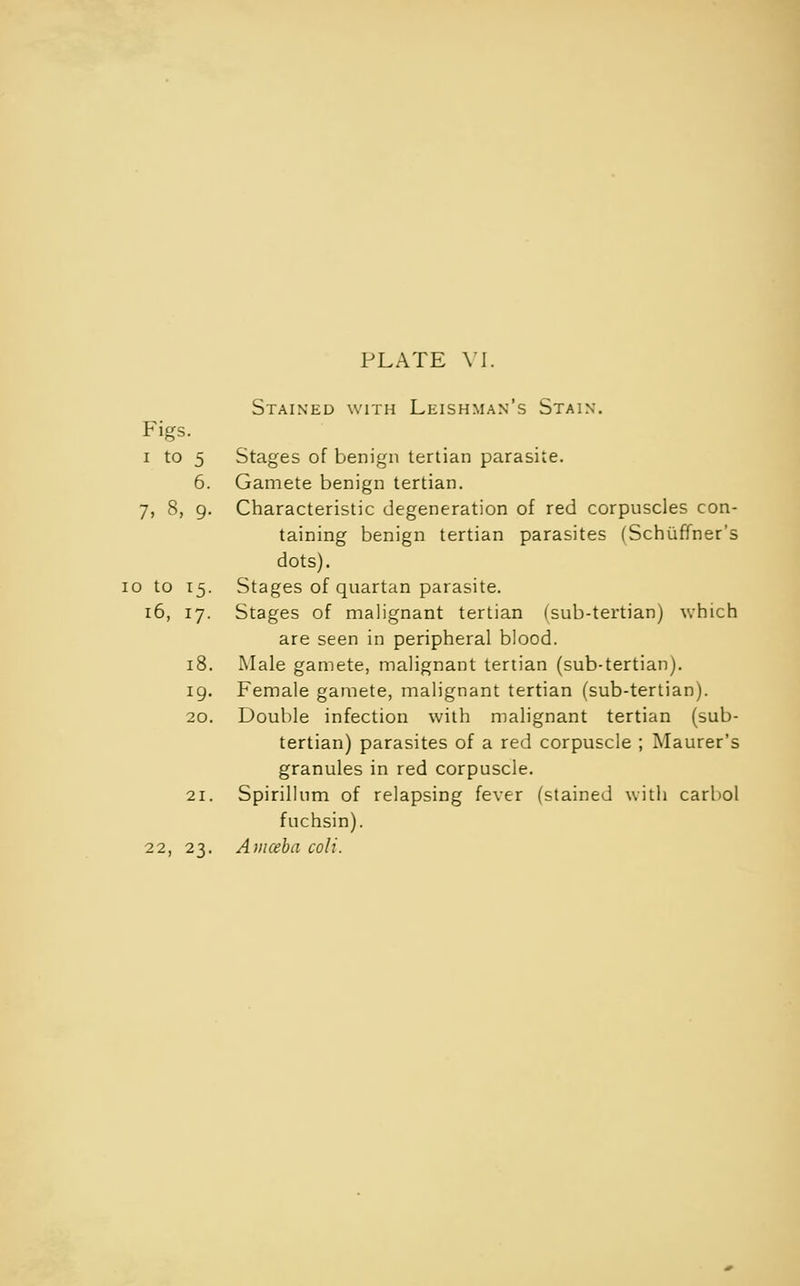 Stained with Leishman's Stain. Stages of benign tertian parasite. Gamete benign tertian. Characteristic degeneration of red corpuscles con- taining benign tertian parasites (Schiifmer's dots). Stages of quartan parasite. Stages of malignant tertian (sub-tertian) which are seen in peripheral blood. Male gamete, malignant tertian (sub-tertian). Female gamete, malignant tertian (sub-tertian). 20. Double infection with malignant tertian (sub- tertian) parasites of a red corpuscle ; Maurer's granules in red corpuscle. 21. Spirillum of relapsing fever (stained with carbol fuchsin). 22, 23. Amceba coli. Figs 1 to 5 6. 7, 8, 9 0 to *5 16, *7' 18 19