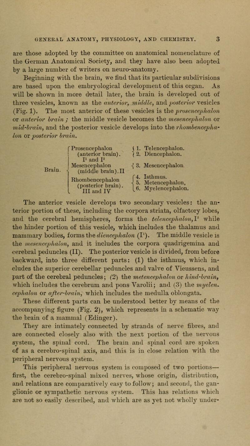 are those adopted by the committee on anatomical nomenclature of the German Anatomical Society, and they have also been adopted by a large number of writers on neuro-anatomy. Beginning with the brain, we find that its particular subdivisions are based upon the embryological development of this organ. As will be shown in more detail later, the brain is developed out of three vesicles, known as the anterior, middle, and posterior vesicles (Fig. 1). The most anterior of these vesicles is theprosencephalon or anterior brain ; the middle vesicle becomes the mesencephalon or mid-brain, and the posterior vesicle develops into the rhombencepha- lon ox posterior brain. 'Prosencephalon \ 1. Telencephalon, (anterior brain). (2. Diencephalon. Brain. I1 and P Mesencephalon \ 3. Mesencephalon (middle brain).II Rhombencephalon (f ^^halon, III and IV The anterior vesicle develops two secondary vesicles: the an- terior portion of these, including the corpora striata, olfactory lobes, and the cerebral hemispheres, forms the telencephalon,!2 while the hinder portion of this vesicle, which includes the thalamus and mammary bodies, forms the diencephalon (I1). The middle vesicle is the mesencephalon, and it includes the corpora quadrigemina and cerebral peduncles (II). The posterior vesicle is divided, from before backward, into three different parts: (1) the isthmus, which in- cludes the superior cerebellar peduncles and valve of Vieussens, and part of the cerebral peduncles; (2) the metencephalon or hind-brain, which includes the cerebrum and pons Varolii; and (3) the myelen. cephalon or after-brain, which includes the medulla oblongata. These different parts can be understood better by means of the accompanying figure (Fig. 2), which represents in a schematic way the brain of a mammal (Edinger). They are intimately connected by strands of nerve fibres, and are connected closely also with the next portion of the nervous system, the spinal cord. The brain and spinal cord are spoken of as a cerebro-spinal axis, and this is in close relation with the peripheral nervo\is system. This peripheral nervous system is composed of two portions— first, the cerebro-spinal mixed nerves, whose origin, distribution, and relations are comparatively easy to follow; and Becond, the gan- glionic or sympathetic nervous system. This has relations which are not so easily described, and which are as yet not wholly under-