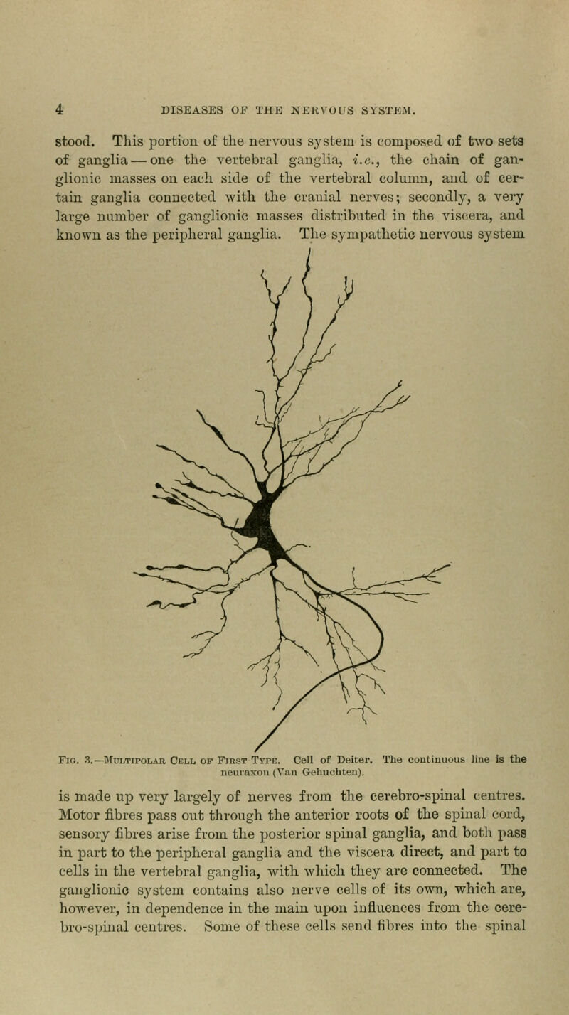 stood. This portion of the nervous system is composed of two sets of ganglia — one the vertebral ganglia, i.e., the chain of gan- glionic masses on each side of the vertebral column, and of cer- tain ganglia connected with the cranial nerves; secondly, a very large number of ganglionic masses distributed in the viscera, and known as the peripheral ganglia. The sympathetic nervous system Fig. 3. -Multipolar Cell of First Type. Cell of Deiter. neuraxon (Van Gehuchten). The continuous line is the is made up very largely of nerves from the cerebro-spinal centres. Motor fibres pass out through the anterior roots of the spinal cord, sensory fibres arise from the posterior spinal ganglia, and both pass in part to the peripheral ganglia and the viscera direct, and part to cells in the vertebral ganglia, with which they are connected. The ganglionic system contains also nerve cells of its own, which are, however, in dependence in the main upon influences from the cere- bro-spinal centres. Some of these cells send fibres into the spinal