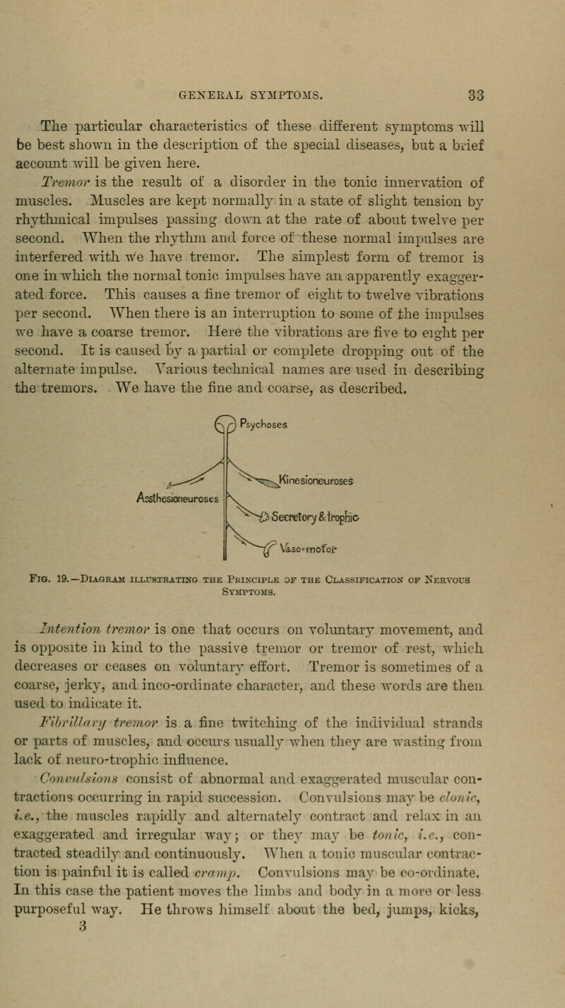 The particular characteristics of these different symptoms -will be best shown in the description of the special diseases, but a brief account will be given here. Tremor is the result of a disorder in the tonic innervation of muscles. Muscles are kept normally in a state of slight tension by rhythmical impulses passing down at the rate of about twelve per second. When the rhythm and force of these normal impulses are interfered with we have tremor. The simplest form of tremor is one in which the normal tonic impulses have an apparently exagger- ated force. This causes a fine tremor of eight to twelve vibrations per second. When there is an interruption to some of the impulses we have a coarse tremor. Here the vibrations are five to eight per second. It is caused by a partial or complete dropping out of the alternate impulse. Various technical names are used in describing the tremors. We have the fine and coarse, as described. \\Q Psycho W ne sloneu rose s Assthesioneuroses Secretory &iropB& \aso- motor Fig. 19.—Diagram illustrating the Principle of the Classification of Nervous Symptoms. Intention tremor is one that occurs on voluntary movement, and is opposite in kind to the passive tremor or tremor of rest, which decreases or ceases on voluntary effort. Tremor is sometimes of a coarse, jerky, and inco-ordinate character, and these words are then used to indicate it. Fibrillary tremor is a fine twitching of the individual strands or parts of muscles, and occurs usually when they are wasting from lack of neuro-trophio influence. Convulsions consist of abnormal and exaggerated muscular con- tractions occurring in rapid succession. Convulsions may be clonic, i.e., the muscles rapidly and alternately contract and relax in an exaggerated and irregular way; or they may be tonic, /.<•., con- tracted steadily and continuously. When a tonic muscular contrac- tion is painful it is called cramp. Convulsions may be co-ordinate. In this case the patient moves the limbs and body in a more or less purposeful way. He throws himself about the bed, jumps, kicks, 3