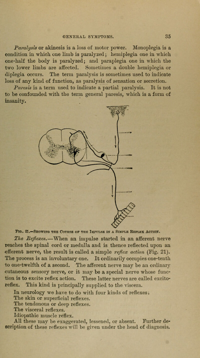Paralysis or akinesis is a loss of motor power. Monoplegia is a condition in which one limb is paralyzed; hemiplegia one in which one-half the body is paralyzed; and paraplegia one in which the two lower limbs are affected. Sometimes a double hemiplegia or diplegia occurs. The term paralysis is sometimes used to indicate loss of any kind of function, as paralysis of sensation or secretion. Paresis is a term used to indicate a partial paralysis. It is not to be confounded with the term general paresis, which is a form of insanity. w Fig. 21.—Showing the Course of the Impulse in a Simple Reflex Action. The Reflexes.—When an impulse started in an afferent nerve reaches the spinal cord or medulla and is thence reflected upon an efferent nerve, the result is called a simple reflex action (Fig. 21). The process is an involuntary one. It ordinarily occupies one-tenth to one-twelfth of a second. The afferent nerve may be an ordinary cutaneous sensoiy nerve, or it may be a special nerve whose func- tion is to excite reflex action. These latter nerves are called excito- reflex. This kind is principally supplied to the viscera. In neurology we have to do with four kinds of reflexes; The skin or superficial reflexes. The tendonous or deep reflexes. The visceral reflexes. Idiopathic muscle reflex. All these may be exaggerated, lessened, or absent. Further de- scription of these reflexes will be given under the head of diagnosis.