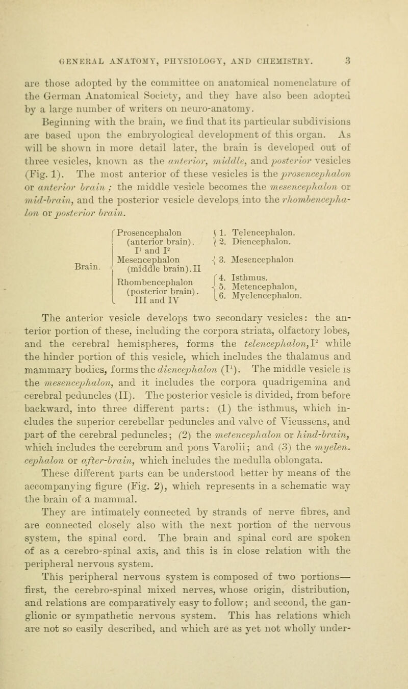 are those adopted by the committee on anatomical nomenclature of the German Anatomical Society, and they have also been adopted by a large number of writers on neuro-anatomy. Beginning with the brain, we find that its particular subdivisions are based upon the embryological development of this organ. As will lie shown in more detail later, the brain is developed out of three vesicles, known as the anterior, middle, and posterior vesicles 1). The most anterior of these vesicles is theprosi ncephalon or anterior brain : the middle vesicle becomes the mesencephalon or mid-brain, and the posterior vesicle develops into the rhombencepha- lon or posU rior brain. [Prosencephalon \ 1. Telencephalon, (anterior brain). '/2. Diencephalou. I1 and Is Mesencephalon <\ 3. Mesencephalon Brain. (middle brain).II D1 , , , f4. Isthmus. Rhombencephalon I g Metencephalon, ^IlfSdlV >- ^ MvelenceWlon. The anterior vesicle develops two secondary vesicles: the an- terior portion of these, including the corpora striata, olfactory lobes, and the cerebral hemispheres, forms the telencephalon,!1 while the hinder portion of this vesicle, which includes the thalamus and mammary bodies, forms the diencephalon (I1). The middle vesicle is the mesencephalon, and it includes the corpora quadrigemina and cerebral peduncles (II). The posterior vesicle is divided, from before backward, into three different parts: (1) the isthmus, which in- cludes the superior cerebellar peduncles and valve of Yieussens, and part of the cerebral peduncles; (2) the metencephalon or hind-brain, which includes the cerebrum and pons Varolii; and (3) the myelen. cephalon or after-brain, which includes the medulla oblongata. These different parts can be understood better by means of the accompanying figure (Fig. 2), which represents in a schematic way the brain of a mammal. They are intimately connected by strands of nerve fibres, and are connected closely also with the next portion of the nervous system, the spinal cord. The brain and spinal cord are spoken of as a cerebro-spinal axis, and this is in close relation with the peripheral nervous system. This peripheral nervous system is composed of two portions— first, the cerebro-spinal mixed nerves, whose origin, distribution, and relations are comparatively easy tofolloAv; and second, the gan- glionic or sympathetic nervous system. This has relations which are not so easily described, and which are as yet not wholly under-