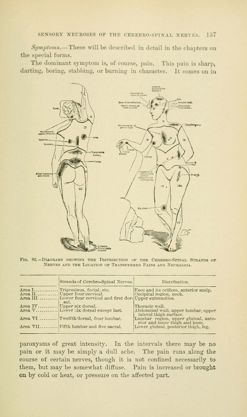 Symptoms. - These will be desoribed in detail in tin- chapters on the Bpecial forms. The dominanl Bymptom is, of course, pain. This pain is sharp, darting, boring, Btabbing, or burning in character. Jt comes on in o-fj^r.. Owyj Fig. 82. —Diagrams showing the Distribution of the Cerebro-Spinal Strands op Xerves and the Location of Transferred Pains and Neuralgia. Strands of Cerebro-Spinal Xerves Area I Trigeminus, facial, etc. Area II Upper four cervical. Area III Lower four cervical and first dor- sal. Area TV Upper six dorsal. Area V Lower ix dorsal except last. Area VI Twelfth dorsal, four lumbar. Area Til Fifth lumbar and five sacraL Distribution. Face and its orifices, anterior scalp. Occipital region, neck. Upper extremities. Thoracic wall. Abdominal wall, upper lumbar, upper lateral thigh surface. Lumbar region, upper gluteal, ante- rior and inner thigh and knee. Lower gluteal, posterior thigh, leg. paroxysms of great intensity. In the intervals there may be no pain or it may be simply a dull ache. The pain runs along the course of certain nerves, though it is not confined necessarily to them, but may be somewhat diffuse. Pain is increased or brought on by cold or heat, or pressure on the affected part.