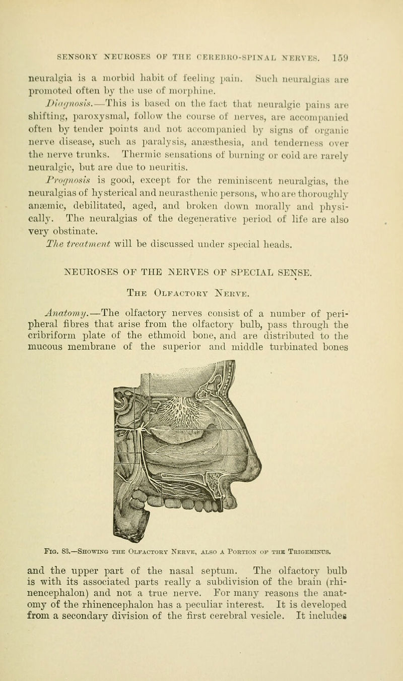 neuralgia is a morbid habit of feeling pain. Such neuralgias are promoted often by the use of morphine. Diagnosis.—This is based on the fact i li.it neuralgic pains are shifting, paroxysmal, follow the course of nerves, are accompanied often by tender points and not accompanied by signs of organic nerve disease, such as paralysis, anaesthesia, and tenderness over the nerve trunks. Thermic sensations of burning or cold are rarely neuralgic, but are due to neuritis. Prognosis is good, except for the reminiscent neuralgias, the neuralgias of hysterical and neurasthenic persons, who are thoroughly anaemic, debilitated, aged, and broken down morally and physi- cally. The neuralgias of the degenerative period of life are also very obstinate. The trait in cut will be discussed under special heads. NEUROSES OF THE NERVES OF SPECIAL SENSE. The Olfactory Nerve. Anatomy.—The olfactory nerves consist of a number of peri- pheral fibres that arise from the olfactory bulb, pass through the cribriform plate of the ethmoid bone, and are distributed to the mucous membrane of the superior and middle turbinated bones Fig. 83.—Showing the Olfactory Nerve, also a Portion of the Trigeminus. and the upper part of the nasal septum. The olfactory bulb is with its associated parts really a subdivision of the brain (rhi- nencephalon) and not a true nerve. For many reasons the anat- omy of the rhinencephalon has a peculiar interest. It is developed from a secondary division of the first cerebral vesicle. It includes