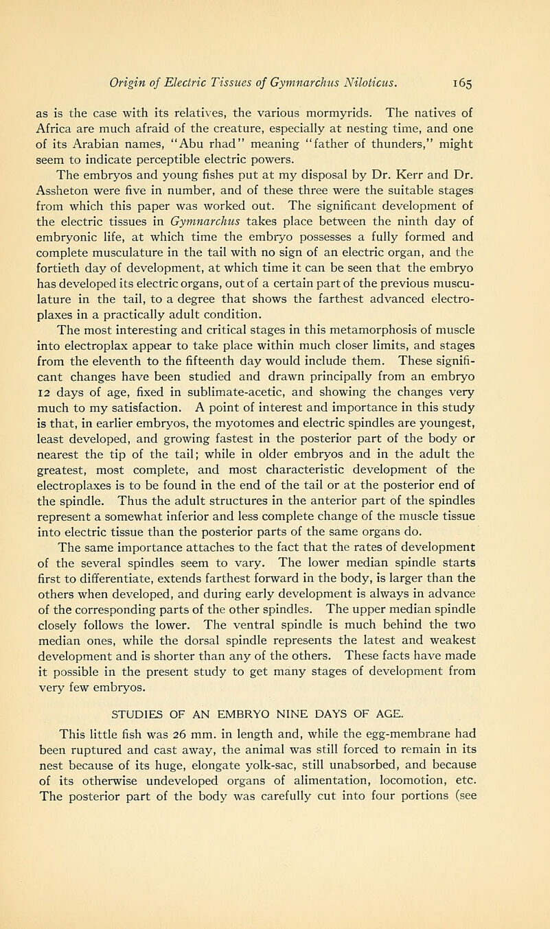 as is the case with its relatives, the various mormyrids. The natives of Africa are much afraid of the creature, especially at nesting time, and one of its Arabian names, Abu rhad meaning father of thunders, might seem to indicate perceptible electric powers. The embryos and young fishes put at my disposal by Dr. Kerr and Dr. Assheton were five in number, and of these three were the suitable stages from which this paper was worked out. The significant development of the electric tissues in Gymnarchus takes place between the ninth day of embryonic life, at which time the embryo possesses a fully formed and complete musculature in the tail with no sign of an electric organ, and the fortieth day of development, at which time it can be seen that the embryo has developed its electric organs, out of a certain part of the previous muscu- lature in the tail, to a degree that shows the farthest advanced electro- plaxes in a practically adult condition. The most interesting and critical stages in this metamorphosis of muscle into electroplax appear to take place within much closer limits, and stages from the eleventh to the fifteenth day would include them. These signifi- cant changes have been studied and drawn principally from an embryo 12 days of age, fixed in sublimate-acetic, and showing the changes very much to my satisfaction. A point of interest and importance in this study is that, in earlier embryos, the myotomes and electric spindles are youngest, least developed, and growing fastest in the posterior part of the body or nearest the tip of the tail; while in older embryos and in the adult the greatest, most complete, and most characteristic development of the electroplaxes is to be found in the end of the tail or at the posterior end of the spindle. Thus the adult structures in the anterior part of the spindles represent a somewhat inferior and less complete change of the muscle tissue into electric tissue than the posterior parts of the same organs do. The same importance attaches to the fact that the rates of development of the several spindles seem to vary. The lower median spindle starts first to differentiate, extends farthest forward in the body, is larger than the others when developed, and during early development is always in advance of the corresponding parts of the other spindles. The upper median spindle closely follows the lower. The ventral spindle is much behind the two median ones, while the dorsal spindle represents the latest and weakest development and is shorter than any of the others. These facts have made it possible in the present study to get many stages of development from very few embryos. STUDIES OF AN EMBRYO NINE DAYS OF AGE. This little fish was 26 mm. in length and, while the egg-membrane had been ruptured and cast away, the animal was still forced to remain in its nest because of its huge, elongate yolk-sac, still unabsorbed, and because of its otherwise undeveloped organs of alimentation, locomotion, etc. The posterior part of the body was carefully cut into four portions (see