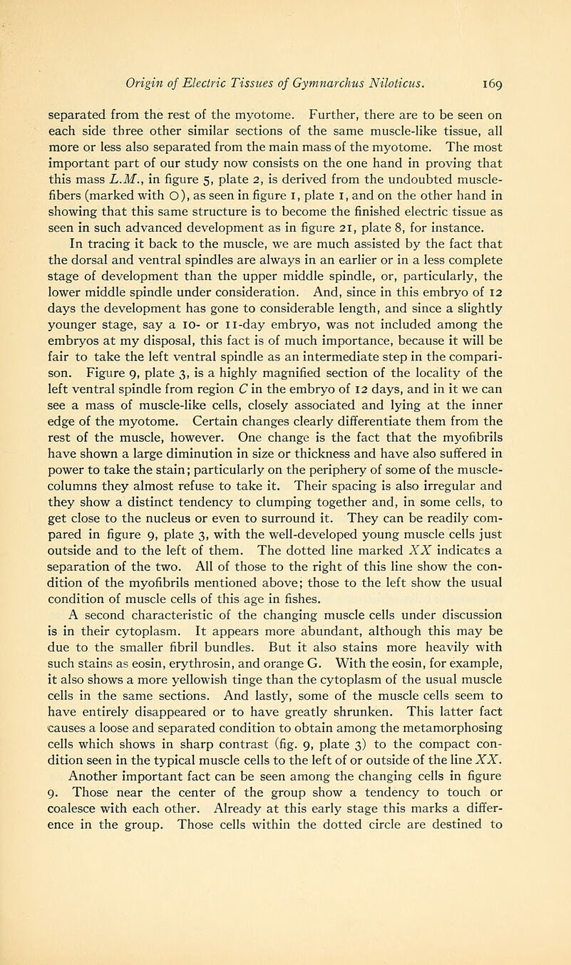 separated from the rest of the myotome. Further, there are to be seen on each side three other similar sections of the same muscle-like tissue, all more or less also separated from the main mass of the myotome. The most important part of our study now consists on the one hand in proving that this mass L.M., in figure 5, plate 2, is derived from the undoubted muscle- fibers (marked with O), as seen in figure i, plate i, and on the other hand in showing that this same structure is to become the finished electric tissue as seen in such advanced development as in figure 21, plate 8, for instance. In tracing it back to the muscle, we are much assisted by the fact that the dorsal and ventral spindles are always in an earlier or in a less complete stage of development than the upper middle spindle, or, particularly, the lower middle spindle under consideration. And, since in this embryo of 12 days the development has gone to considerable length, and since a slightly younger stage, say a 10- or 11-day embryo, was not included among the embryos at my disposal, this fact is of much importance, because it will be fair to take the left ventral spindle as an intermediate step in the compari- son. Figure 9, plate 3, is a highly magnified section of the locality of the left ventral spindle from region C in the embryo of 12 days, and in it we can see a mass of muscle-like cells, closely associated and lying at the inner edge of the myotome. Certain changes clearly differentiate them from the rest of the muscle, however. One change is the fact that the myofibrils have shown a large diminution in size or thickness and have also suffered in power to take the stain; particularly on the periphery of some of the muscle- columns they almost refuse to take it. Their spacing is also irregular and they show a distinct tendency to clumping together and, in some cells, to get close to the nucleus or even to surround it. They can be readily com- pared in figure 9, plate 3, with the well-developed young muscle cells just outside and to the left of them. The dotted line marked XX indicates a separation of the two. All of those to the right of this line show the con- dition of the myofibrils mentioned above; those to the left show the usual condition of muscle cells of this age in fishes. A second characteristic of the changing muscle cells under discussion is in their cytoplasm. It appears more abundant, although this may be due to the smaller fibril bundles. But it also stains more heavily with such stains as eosin, erythrosin, and orange G. With the eosin, for example, it also shows a more yellowish tinge than the cytoplasm of the usual muscle cells in the same sections. And lastly, some of the muscle cells seem to have entirely disappeared or to have greatly shrunken. This latter fact causes a loose and separated condition to obtain among the metamorphosing cells which shows in sharp contrast (fig. 9, plate 3) to the compact con- dition seen in the typical muscle cells to the left of or outside of the line XX. Another important fact can be seen among the changing cells in figure 9. Those near the center of the group show a tendency to touch or coalesce with each other. Already at this early stage this marks a differ- ence in the group. Those cells within the dotted circle are destined to