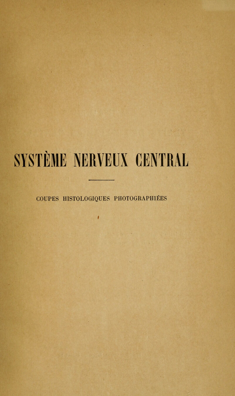 SYSTÈME NERVEUX CENTRAL COUPES HISTOLOGIQUES PHOTOGRAPHIÉES