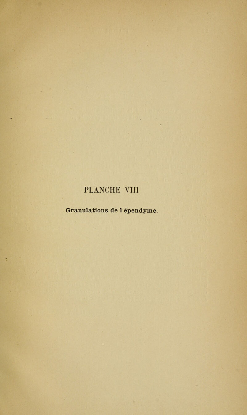 PLANCHE VIII Granulations de l'épendynie.
