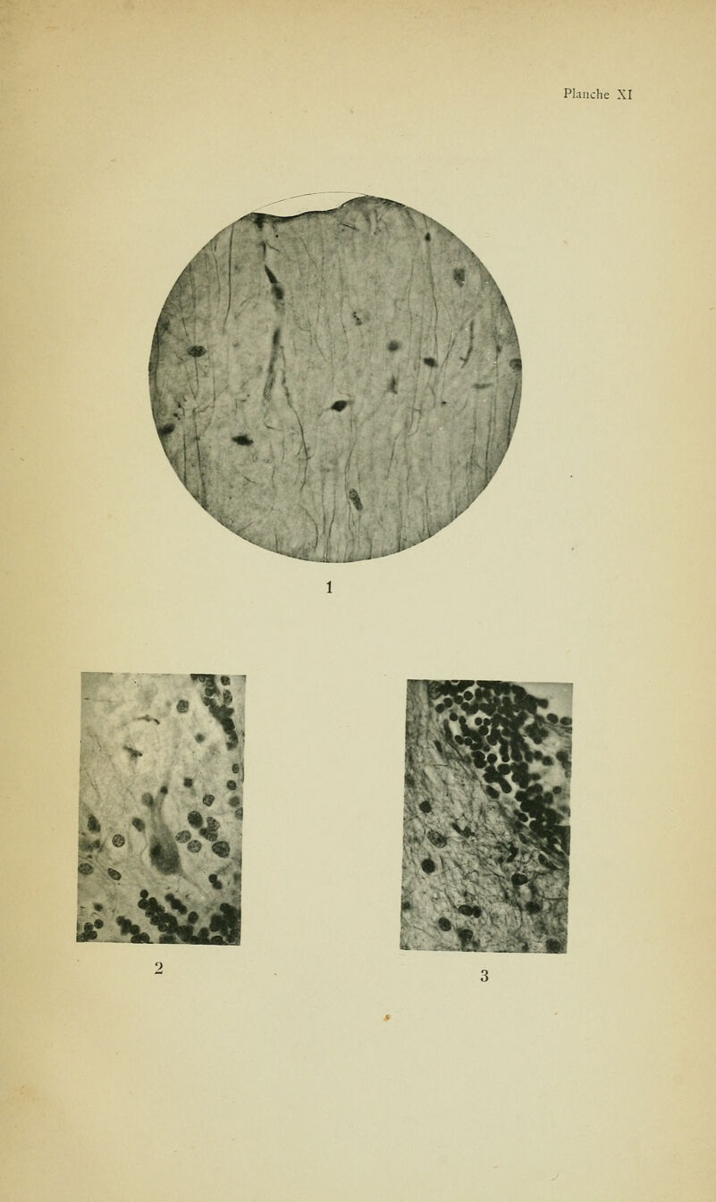 «^ \ tefJW ^ 4fl u*^ '^^ 1 :;^ ^ ^^- - ». . ..fï_