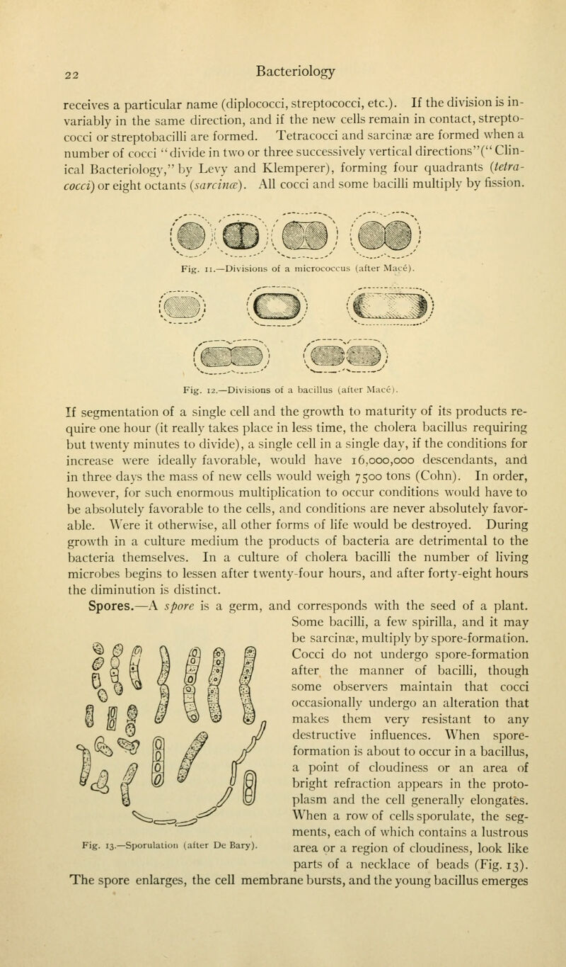 receives a particular name (diplococci, streptococci, etc.)- If the division is in- variably in the same direction, and if the new cells remain in contact, strepto- cocci orstreptobacilli are formed. Tetracocci and sarcinae are formed when a number of cocci divide in two or three successively vertical directions'^ Clin- ical Bacteriology, by Levy and Klemperer), forming four quadrants {tetra- cocci) or eight octants (sarcince). All cocci and some bacilli multiply by fission. Fig. ii.—Divisions of a micrococcus (after Mace). Fig. 12.—Divisions of a bacillus (after Mace). If segmentation of a single cell and the growth to maturity of its products re- quire one hour (it really takes place in less time, the cholera bacillus requiring but twenty minutes to divide), a single cell in a single day, if the conditions for increase were ideally favorable, would have 16,000,000 descendants, and in three days the mass of new cells would weigh 7500 tons (Cohn). In order, however, for such enormous multiplication to occur conditions would have to be absolutely favorable to the cells, and conditions are never absolutely favor- able. Were it otherwise, all other forms of life would be destroyed. During growth in a culture medium the products of bacteria are detrimental to the bacteria themselves. In a culture of cholera bacilli the number of living microbes begins to lessen after twenty-four hours, and after forty-eight hours the diminution is distinct. Spores.—A spore is a germ, and corresponds with the seed of a plant. Some bacilli, a few spirilla, and it may be sarcinae, multiply by spore-formation. Cocci do not undergo spore-formation after the manner of bacilli, though some observers maintain that cocci occasionally undergo an alteration that makes them very resistant to any destructive influences. When spore- formation is about to occur in a bacillus, a point of cloudiness or an area of bright refraction appears in the proto- plasm and the cell generally elongates. When a row of cells sporulate, the seg- ments, each of which contains a lustrous area or a region of cloudiness, look like parts of a necklace of beads (Fig. 13). The spore enlarges, the cell membrane bursts, and the young bacillus emerges Fig. 13.—Sporulation (after De Bary).