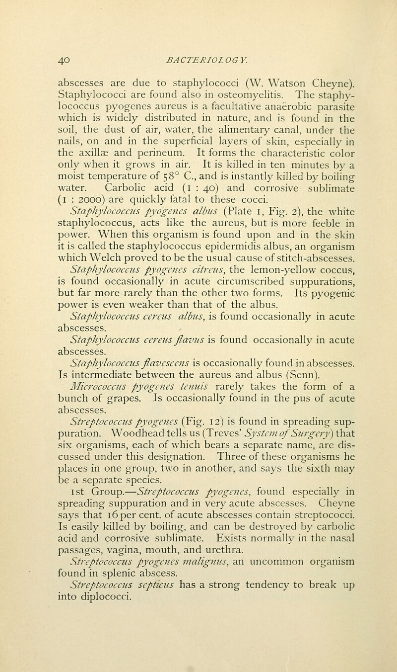 abscesses are due to staphylococci (W. Watson Cheyne). Staphylococci are found also in osteomyelitis. The staphy- lococcus pyogenes aureus is a facultative anaerobic parasite which is widely distributed in nature, and is found in the soil, the dust of air, water, the alimentary canal, under the nails, on and in the superficial layers of skin, especially in the axillae and perineum. It forms the characteristic color only when it grows in air. It is killed in ten minutes by a moist temperature of 58° C, and is instantly killed by boiling water. Carbolic acid (i : 40) and corrosive sublimate (i : 2000) are quickly fatal to these cocci. Staphylococcus pyogenes albus (Plate i, Fig. 2), the white staphylococcus, acts like the aureus, but is more feeble in power. When this organism is found upon and in the skin it is called the staphylococcus epidermidis albus, an organism which Welch proved to be the usual cause of stitch-abscesses. Staphylococcus pyogenes citreiis, the lemon-yellow coccus, is found occasionally in acute circumscribed suppurations, but far more rarely than the other two forms. Its pyogenic power is even weaker than that of the albus. Staphylococcus cei'eus albus, is found occasionally in acute abscesses. Staphylococcus cereus flavus is found occasionally in acute abscesses. Staphylococcus flavcscens is occasionally found in abscesses. Is intermediate between the aureus and albus (Senn). Micrococcus pyogenes tenuis rarely takes the form of a bunch of grapes. Is occasionally found in the pus of acute abscesses. Streptococcus pyogenes (Fig. 12) is found in spreading sup- puration. Woodhead tells us (Treves' System of Sanger}') that six organisms, each of which bears a separate name, are dis- cussed under this designation. Three of these organisms he places in one group, two in another, and says the sixth may be a separate species. 1st Group.—Streptococcus pyogenes, found especially in spreading suppuration and in very acute abscesses. Cheyne says that 16 per cent, of acute abscesses contain streptococci. Is easily killed by boiling, and can be destroyed by carbolic acid and corrosive sublimate. Exists normally in the nasal passages, vagina, mouth, and urethra. Streptococcus pyogenes vialignus, an uncommon organism found in splenic abscess. Streptococcus septicus has a strong tendency to break up into diplococci.