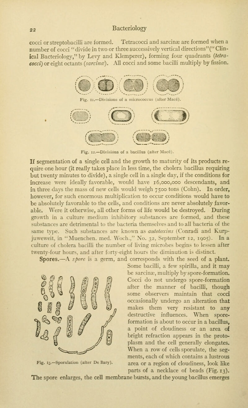 cocci or streptobacilli are formed. Tetracocci and sarcinae are formed when a number of cocci  divide in two or three successively vertical directions'^ Clin- ical Bacteriology, by Levy and Klemperer), forming four quadrants {tetra- cocci) or eight octants {sarcincB). All cocci and some bacilli multiply by fission. Fig. II.—Divisions of a micrococcus (after Mace). f ^;:^«, /1 \.^^--^^'-^^ vC<!$y / Fig. 12.—Divisions of a bacillus (after Mace;. If segmentation of a single cell and the growth to maturity of its products re- quire one hour (it really takes place in less time, the cholera bacillus requiring but twenty minutes to divide), a single cell in a single day, if the conditions for increase were ideally favorable, would have 16,000,000 descendants, and in three days the mass of new cells would weigh 7500 tons (Cohn). In order, however, for such enormous multiplication to occur conditions would have to be absolutely favorable to the cells, and conditions are never absolutely favor- able. Were it otherwise, all other forms of life would be destroyed. During growth in a culture medium inhibitory substances are formed, and these substances are detrimental to the bacteria themselves and to all bacteria of the same type. Such substances are known as autotoxins (Conradi and Kurp- juweweit, in Muenchen. med. Woch., No. 32, September 12, 1905). In a culture of cholera baciUi the number of U\-ing microbes begins to lessen after twent)'-four hours, and after forty-eight hours the diminution is distinct. Spores.—A spore is a germ, and corresponds with the seed of a plant. Some bacilli, a few spirilla, and it may be sarcina.', multiply by spore-formation. Cocci do not undergo spore-formation after the manner of baciUi, though some observers maintain that cocci occasionally undergo an alteration that makes them very resistant to any destructive influences. When spore- formation is about to occur in a bacillus, a point of cloudiness or an area of bright refraction appears in the proto- plasm and the cell generally elongates. When a row of cells sporulate, the seg- ments, each of which contains a lustrous area or a region of cloudiness, look like parts of a necklace of beads (Fig. 13). The spore enlarges, the cell membrane bursts, and the young bacillus emerges Fig. 13.—Sporulation (after De Bar>-).