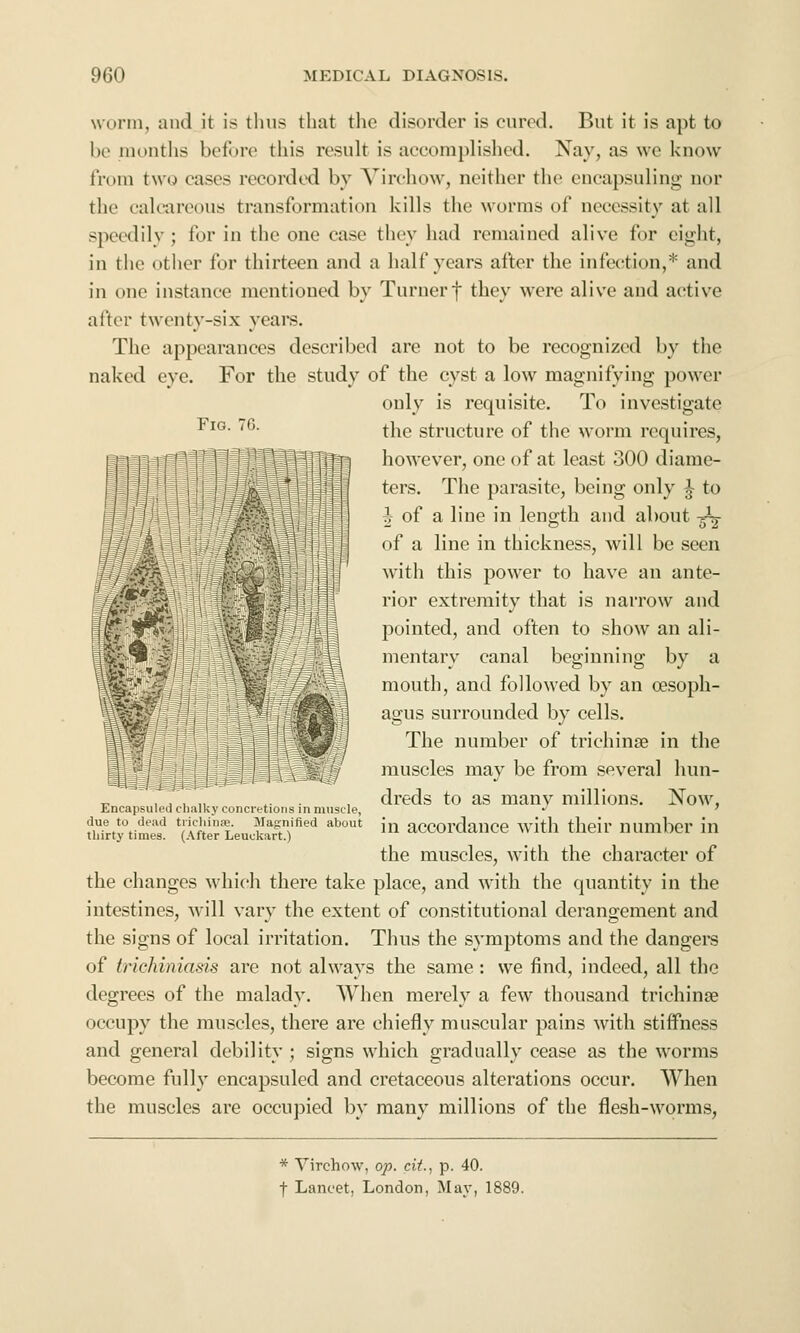 worm, and it is tluis that the disorder is cured. But it is apt to be niontlis before this result is accomplished. Nay, as we know from two cases recorded by Virohow, neither the encapsuling nor the calcareous transformation kills the worms of necessity at all speedily ; for in the one case they had remained alive for eight, in the other for thirteen and a half years after the infection,* and in one instance mentioned by Turnerf they were alive and active after twenty-six years. The appearances described are not to be recognized by the naked eye. For the study of the cyst a low magnifying power only is requisite. To investigate ^^°- ^- the structure of the worm requires, TT-j however, one of at least 300 diarae- I ters. The parasite, being only ^ to tj h of a line in length and about -^ ' of a line in thickness, will be seen I . . with this power to have an ante- rior extremity that is narrow and pointed, and often to show an ali- mentary canal beginning by a ^ mouth, and followed by an oesopli- rl agus surrounded by cells. ■ j The number of trichinre in the ^ sd issi 4 A^^igV muscles may be from several hun- _ , , , ,, ,. . , dreds to as many millions. Now, Encapsuledchalky concretions in muscle, •' ' ^Zxyt^tt *(iftlrLeuckartf'^ ''''' ^ accordaucc witli their number in the muscles, with the character of the changes which there take place, and with the quantity in the intestines, will vary the extent of constitutional derangement and the signs of local irritation. Thus the symptoms and the dangers of trichiniasis are not always the same : we find, indeed, all the degrees of the malady. When merely a few thousand trichinae occupy the muscles, there are chiefly muscular pains with stiffness and general debility ; signs which gradually cease as the worms become fully encapsuled and cretaceous alterations occur. When the muscles are occupied by many millions of the flesh-worms, * Virchow, op. cii., p. 40. t Lancet, London, May, 1889.