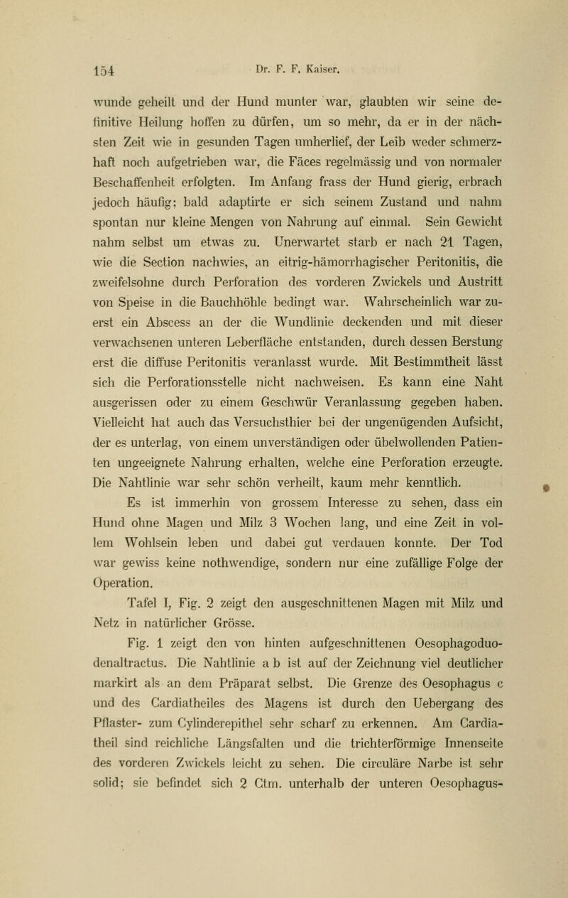 Aviinde geheilt und der Hund munter war, glaubten wir seine de- finitive Heilung hoffen zu dürfen, um so mehr, da er in der näch- sten Zeit wie in gesunden Tagen umherlief, der Leib weder schmerz- haft noch aufgetrieben war, die Fäces regelmässig und von normaler Beschaffenheit erfolgten. Im Anfang frass der Hund gierig, erbrach jedoch häufig; bald adaptirte er sich seinem Zustand und nahm spontan nur kleine Mengen von Nahrung auf einmal. Sein Gewicht nahm selbst um etwas zu. Unerwartet starb er nach 21 Tagen, wie die Section nachwies, an eitrig-hämorrhagischer Peritonitis, die zweifelsohne durch Perforation des vorderen Zwickels und Austritt von Speise in die Bauchhöhle bedingt war. Wahrscheinlich war zu- erst ein Abscess an der die Wundlinie deckenden und mit dieser verwachsenen unteren Leberfläche entstanden, durch dessen Berstung erst die diffuse Peritonitis veranlasst wurde. Mit Bestimmtheit lässt sich die Perforationsstelle nicht nachweisen. Es kann eine Naht ausgerissen oder zu einem Geschwür Veranlassung gegeben haben. Vielleicht hat auch das Versuchsthier bei der ungenügenden Aufsicht, der es unterlag, von einem unverständigen oder übelwollenden Patien- ten ungeeignete Nahrung erhalten, welche eine Perforation erzeugte. Die Nahtlinie war sehr schön verheilt, kaum mehr kenntlich. Es ist immerhin von grossem Interesse zu sehen^ dass ein Hund ohne Magen und Milz 3 Wochen lang, und eine Zeit in vol- lem Wohlsein leben und dabei gut verdauen konnte. Der Tod war gewiss keine nothwendige, sondern nur eine zufällige Folge der Operation. Tafel I, Fig. 2 zeigt den ausgeschnittenen Magen mit Milz und Netz in natürlicher Grösse. Fig. 1 zeigt den von hinten aufgeschnittenen Oesophagoduo- denaltractus. Die Nahtlinie a b ist auf der Zeichnung viel deutlicher markirt als an dem Präparat selbst. Die Grenze des Oesophagus c und des Cardiatheiles des Magens ist durch den Uebergang des Pflaster- zum Cylinderepithel sehr scharf zu erkennen. Am Gardia- theil sind reichliche Längsfalten und die trichterförmige Innenseite des vorderen Zwickels leicht zu sehen. Die circuläre Narbe ist sehr solid; sie befindet sich 2 Gtm. unterhalb der unteren Oesophagus-