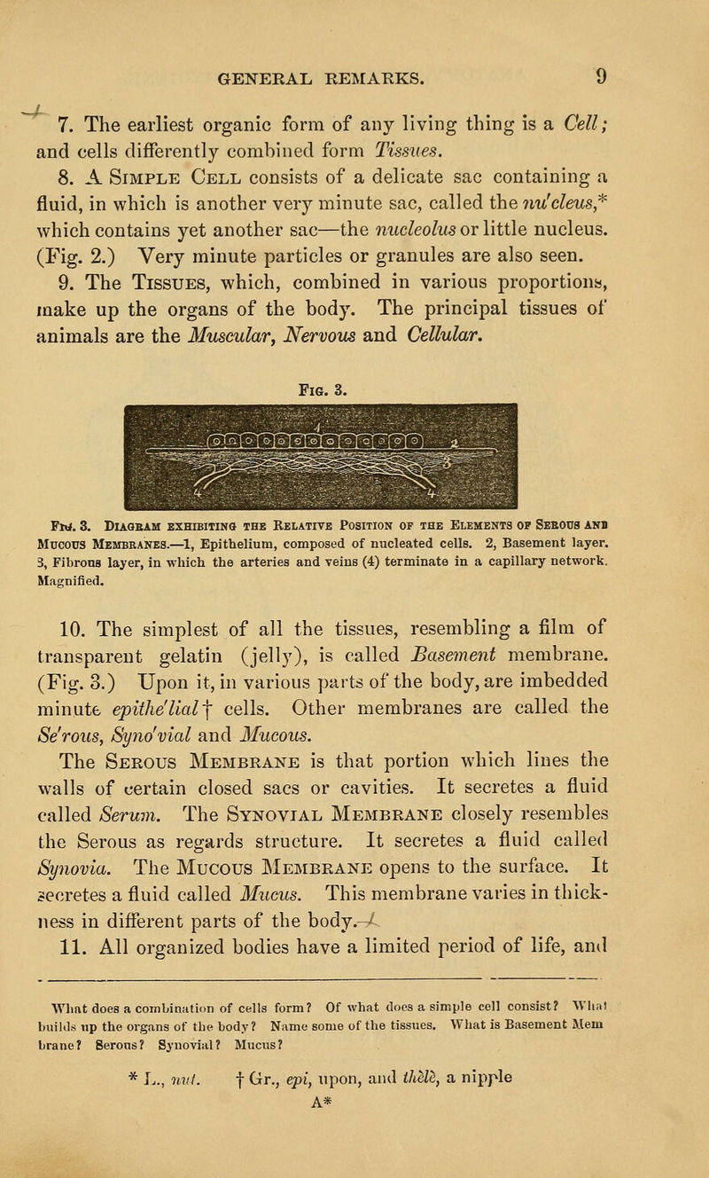 7. The earliest organic form of any living thing is a Cell; and cells differently combined form Tissues. 8. A Simple Cell consists of a delicate sac containing a fluid, in which is another very minute sac, called the nu'eleus,^ which contains yet another sac—the nucleolus or little nucleus. (Fig. 2.) Very minute particles or granules are also seen. 9. The Tissues, which, combined in various proportiona, make up the organs of the body. The principal tissues of animals are the Muscular^ Nervous and Cellular, Fig. 3. FW. 3. DiAOBAM EXHIBITING THE RELATIVE POSITION OF THE ELEMENTS OP SEEOUS ANB Mucous Membranes.—^1, Epithelium, composed of nucleated cells. 2, Basement layer. 3, Fibrous layer, in which the arteries and veins (4) terminate in a capillary network. Magnified. 10. The simplest of all the tissues, resembling a film of transparent gelatin (jelly), is called Basement membrane. (Fig. 3.) Upon it, in various parts of the body, are imbedded minute epithelial'\ cells. Other membranes are called the Se'rous, Syno'vial and Mucous. The Serous Membrane is that portion which lines the walls of certain closed sacs or cavities. It secretes a fluid called Serum. The Synovial Membrane closely resembles the Serous as regards structure. It secretes a fluid called Synovia. The Mucous Membrane opens to the surface. It secretes a fluid called Mucus. This membrane varies in thick- ness in different parts of the body.--^ 11. All organized bodies have a limited period of life, and AYhftt does a combination of cells form? Of what does a simple cell consist? What builds up the organs of the body? Name some of the tissues. What is Basement Mem brane? Serous? Synovial? Mucus? * L., 7iid. t Gr., epi, upon, and tliell, a nipple A*