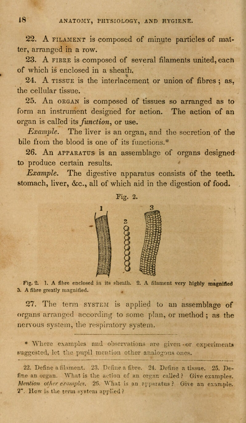 22. A FILAMENT is composed of minute particles of mat- ter, arranged in a row. 23. A FiBEE is composed of several filaments united, each of which is enclosed in a sheath. 24. A TISSUE is the interlacement or union of fibres ; as, the cellular tissue. 25. An ORGAN is composed of tissues so arranged as to form an instrunient designed for action. The action of an organ is called its function^ or use. Example. The liver is an organ, and the secretion of the bile fiom the blood is one of its functions.* 26. An APPARATUS is an assemblage of organs designed- to produce certain results. * Example. The digestive apparatus consists of the teeth, stomach, liver, &;c., all of which aid in the digestion of food. Fi2. 2. Fig. 2. 1. A fibre enclosed in its sheath. 2. A filament very highly magnifled 3. A fibre greatly magnified. 27. The term system is applied to an assemblage of organs arranged according to some plan, or method ; as the nervous system, the respiratory system. * Where exajiiples and observations are given-or experiment* suggested, let the pupil mention other analogous ones. 22. Define a lilament. 23. Dciiue a fibre. 24. Define a tis.sue. 2.5. De- fine an organ. AVhat is the action of an organ called ? Give examples. McTitwn ot/irr eraniplcs. 26. '\\Tiat is an njparatus ? Gi»e an eriample. 2, How is the term .syfitcni applied ?