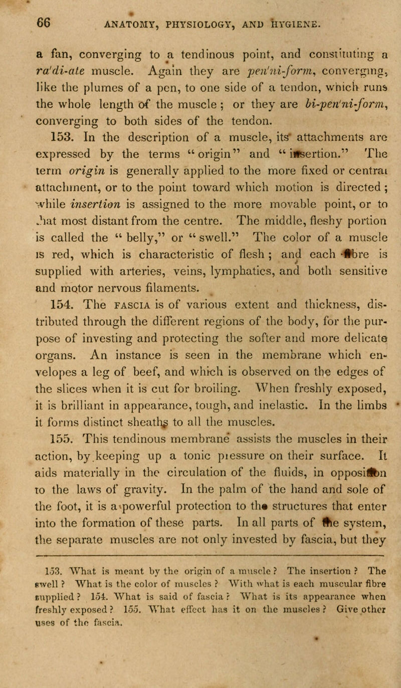 a fan, converging to a tendinous point, and constiniting a ra'di-ate muscle. Again they are pen'ni-form^ converging, like the plumes of a pen, to one side of a tendon, which runs the whole length of the muscle ; or they are bi-pen'ni-form^ converging to both sides of the tendon. 153. In the description of a muscle, its' attachments are expressed by the terms origin and insertion. The term origin is generally applied to the more fixed or central attachment, or to the point toward which motion is directed ; wliile insertion is assigned to the more movable point, or to .hat most distant from the centre. The middle, fleshy portion is called the  belly, or  swell. The color of a muscle IS red, which is characteristic of flesh ; and each ••bre is supplied with arteries, veins, lymphatics, and both sensitive and motor nervous filaments. 154. The FASCIA is of various extent and thickness, dis- tributed through the different regions of the body, for the pur- pose of investing and protecting the softer and more delicalo orjians. An instance is seen in the membrane which en- velopes a leg of beef, and which is observed on the edges of the slices when it is cut for broiling. When freshly exposed, it is brilliant in appearance, tough, and inelastic. In the hmbs • it forms distinct sheatl:;^ to all the muscles. 155. This tendinous membrane assists the muscles in their action, by.keeping up a tonic piessure on their surface. It aids materially in the circulation of the fluids, in opposiibn 10 the laws of gravity. In the palm of the hand and sole of the foot, it is a^powerful protection to th« structures that enter into the formation of these parts. In all parts of #ie system, the separate muscles are not only invested by fascia, but they L53. What is meant by the origin of a muscle ? The insertion ? The swell ? What is the color of muscles ? With what is each muscular fibre BTipplied ? 154. What is said of fascia r What is its appearance when freshly exposed? 155. What effect has it on the muscles? Give other uses of the fascia.