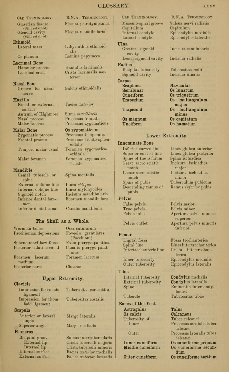 Old Terminology. Glaserian fissure (Still retained) Glenoid cavity (Still retained) Ethmoid Lateral mass Os plaiiuin Lacrimal Bone Haiuular process Lacrimal crest Nasal Bone Groove for nasal nerve Maxilla Facial or external surface Antrum of Higlimore Nasal process ]\Ialar process Malar Bone Zygomatic process Frontal process Temporo-malar canal Malar foramen Mandible Genial tubercle or spine External oblique line Internal oblique line Sigmoid notch Inferior dental fora- men Inferior dental canal B.N.A. Tekminology. Fissura petrotympanica Fissura mandibularis Labyrinthus etlimoiil- alis Lamina papyracea Hamulus lacrimalis Crista lacrimalis pon- terior Sulcus etlimoidalis Facies anterior Sinus maxillaris Processus frontalis Processus zygomaticus Os zygomaticum Processus temporalis Processus fronto-sphen- oidalis Foramen zygomatico- orbitale Foramen zygomatico- faciale Spina mentalis Linea ohliqua Linea myloliyoidea Incisura mandibularis Foramen mandibulare Canalis mandibulie The Skull as a Whole. Wormian bones Pacchionian depressions Spheno-maxillary fossa Posterior palatine canal Foramen lacerum medium Posterior nares Ossa suturaruin Foveohe granulares (Pacchioni) Fossa pterygo-palatina Canalis pterygo-palat- inus Foramen lacerum Choanse Upper Extremity. Clavicle Impression for conoid ligament Impression for rhom- boid ligament Scapula Anterior or lateral angle Superior angle Humerus Bicipital groove External lip Internal lip Internal surface External surface Tuberositas coracoidea Tubei'ositas costalis Margo lateralis Margo medialis Sulcus intertubercularis Crista tuberculi majoris Crista tuberculi niinoris Facies anterior medialis Facies anterior lateralis Old Terminology. Musculo-spiral groove Capitellum Intei'iial condyle Lateral condyle Ulna Greater sigmoid cavity Lesser sigmoid cavity Radius Bicipital tuberosity Sigmoid cavity Carpus Scaphoid Semilunar Cuneiform Trapezium Trapezoid Os magnum Unciform B.N.A. Terminology. Sulcus nervi radialis Cajiitulum Epicondylus medialis Epicondylus lateralis Incisura semilunaris Incisura radialis Tuberositas radii Incisura ulnaris Navicular Os lunatum Os triquetrum Os multangulum majus Os multangulum minus Os capitatum Os hamatum Lower Extremity, Innominate Bone Inferior curved line Superior curved line Spine of the ischium Great sacro-sciatic notch Lesser sacro-sciatic notch Spine of pubis Descending ramus of pubis Pelvis False pelvis True pelvis Pelvic inlet Linea glirtrea anterior Linea glutfea posterior Spina ischiadica Incisura ischiadica major Incisura ischiadica minor Tuberculum pubicum Ramus inferior pubis Pelvic outlet Femur Digital fossa Spiral line Intertrochanteric line Inner tuberosity Outer tuberosity Tibia Internal tuberosity External tuberosity Spine Tubercle Bones of the Foot Astragalus Os calcis Tuberosity of Inner Outer Inner cuneiform Middle cuneiform Outer cuneiform Pelvis major Pelvis minor Apertura pelvis minoris suijerior Apertura pelvis minoris inferior Fossa trochanterica Linea intertrochanterica Crista intertrochan- terica Epicondylus medialis Epicondylus lateralis Condylus medialis Condylus lateralis Eminentia intercondy- loidea Tuberositas tibife Talus Calcaneus Tuber calcauei Processus medialis tuber calcanei Processus lateralis tuber calcanei Os cuneiforme primum Os cuneiforme secun- dum Os cuneiforme tertium