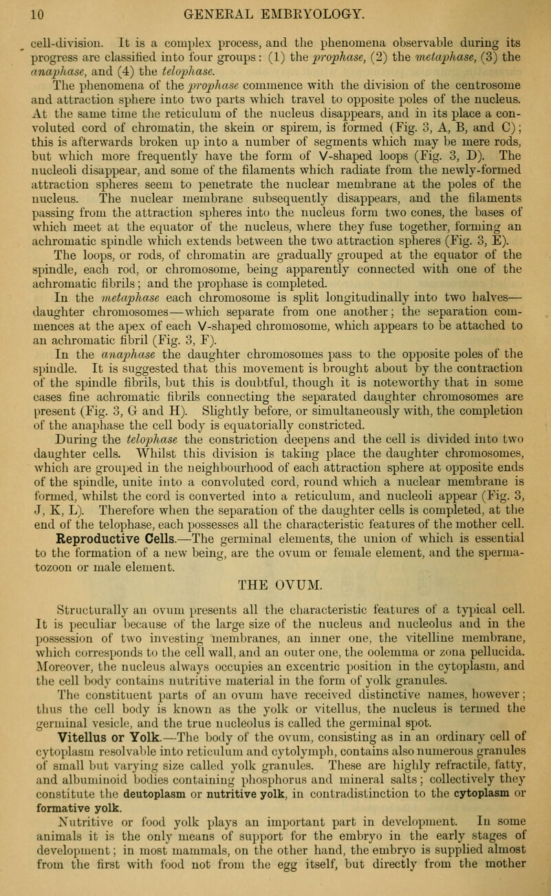 cell-division. It is a complex process, and the phenomena observable during its progress are classified into four groups: (1) the j^Tophase, (2) the metaphase, (3) the anaphase, and (4) the telophase. The phenomena of the prophase commence with the division of the centrosome and attraction sphere into two parts which travel to opposite poles of the nucleus. At the same time the reticulum of the nucleus disappears, and in its place a con- voluted cord of chromatin, the skein or spirem, is formed (Fig. 3, A, B, and C); this is afterwards broken up into a number of segments which may be mere rods, but which more frequently have the form of V-shaped loops (Fig. 3, D). The nucleoli disappear, and some of the filaments which radiate from the newly-formed attraction spheres seem to penetrate the nuclear membrane at the poles of the nucleus. The nuclear membrane subsequently disappears, and the filaments passing from the attraction spheres into the nucleus form two cones, the bases of which meet at the equator of the nucleus, where they fuse together, forming an achromatic spindle which extends between the two attraction spheres (Fig. 3, E). The loops, or rods, of chromatin are gradually grouped at the equator of the spindle, each rod, or chromosome, being apparently connected with one of the achromatic fibrils; and the prophase is completed. In the metaphase each chromosome is split longitudinally into two halves— daughter chromosomes—which separate from one another; the separation com- mences at the apex of each V-shaped chromosome, which appears to be attached to an achromatic fibril (Fig. 3, F). In the anapihase the daughter chromosomes pass to the opposite poles of the spindle. It is suggested that this movement is brought about by the contraction of the spindle fibrils, but this is doubtful, though it is noteworthy that in some cases fine achromatic fibrils connecting the separated daughter chromosomes are present (Fig. 3, G and H). Slightly before, or simultaneously with, the completion of the anaphase the cell body is equatorial ly constricted. During the telophase the constriction deepens and the cell is divided into two daughter cells. Whilst this division is taking place the daughter chromosomes, which are grouped in the neighbourhood of each attraction sphere at opposite ends of the spindle, unite into a convoluted cord, round which a nuclear membrane is formed, whilst the cord is converted into a reticulum, and nucleoli appear (Fig. 3, J, K, L). Therefore when the separation of the daughter cells is completed, at the end of the telophase, each possesses all the characteristic features of the mother cell. Reproductive Cells.—The germinal elements, the union of which is essential to the formation of a new being, are the ovum or female element, and the sperma- tozoon or male element. THE OVUM. Structurally an ovum presents all the characteristic features of a typical cell. It is peculiar because of the large size of the nucleus and nucleolus and in the possession of two investing membranes, an inner one, tlie vitelline membrane, which corresponds to tlie cell wall, and an outer one, the oolemma or zona pellucida. Moreover, the nucleus always occupies an excentric position in the cytoplasm, and the cell body contains nutritive material in the form of yolk granules. The constituent parts of an ovum have received distinctive names, however; thus the cell body is known as the yolk or vitellus, the nucleus is termed the germinal vesicle, and the true nucleolus is called the germinal spot. Vitellus or Yolk.—The body of the ovum, consisting as in an ordinary cell of cytoplasm resolvable into reticulum and cytolymph, contains also numerous granules of small but varying size called yolk granules. These are highly retractile, fatty, and albuminoid bodies containing phosphorus and mineral salts; collectively they constitute the deutoplasm or nutritive yolk, in contradistinction to the cytoplasm or formative yolk. Xutritive or food yolk plays an important part in development. In some animals it is the only means of support for the embryo in the early stages of development; in most mammals, on the other hand, the embryo is supplied almost from the first with food not from the egg itself, but directly from the mother