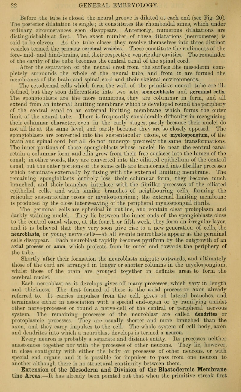 Before the tube is closed the neural groove is dilated at each end (see Fig. 20). The posterior dilatation is single; it constitutes the rhomboidal sinus, which under ordinary circumstances soon disappears. Anteriorly, numerous dilatations are distinguishable at first. The exact number of these dilatations (neuromeres) is said to be eleven. As the tube closes they resolve themselves into three distinct vesicles termed the primary cerebral vesicles. These constitute the rudiments of the fore- mid- and hind-brains, and their respective ventricular cavities. The remainder of the cavity of the tube becomes the central canal of the spinal cord. After the separation of the neural crest from the surface -the mesoderm com- pletely surrounds the whole of the neural tube, and from it are formed the membranes of the brain and spinal cord and their skeletal environments. The ectodermal cells which form the wall of the primitive neural tube are ill- defined, but they soon differentiate into two sets, spongioblasts and germinal cells. The spongioblasts are the more numerous, they are columnar in form, and all extend from an internal limiting membrane which is developed round the periphery of the central canal to an external limiting membrane which forms the outer limit of the neural tube. There is frequently considerable difficulty in recognising their columnar character, even in the early stages, partly because their nuclei do not all lie at the same level, and partly because they are so closely opposed. The spongioblasts are converted into the sustentacular tissue, or myelospongium, of the brain and spinal cord, but all do not undergo precisely the same transformations. The inner portions of those spongioblasts whose nuclei lie near the central canal retain a columnar form, and cilia grow from their free surfaces into the lumen of the canal; in other words, they are converted into the ciliated epithelium of the central canal, but the outer portions of the same cells are transformed into fibrillar processes which terminate externally by fusing with the external limiting membrane. The remaining spongioblasts entirely lose their columnar form, they become much branched, and their branches interlace with the fibrillar processes of the ciliated epithelial cells, and with similar branches of neighbouring cells, forming the reticular sustentacular tissue or myelospongium; the external limiting membrane is produced by the close interweaving of the peripheral myelospongial fibrils. The germinal cells are spherical in outline, and contain clear protoplasm and darkly-staining nuclei. They lie between the inner ends of the spongioblasts close to the central canal where, at the fourth or fifth week, they form an irregular layer, and it is believed that they very soon give rise to a new generation of cells, the neuroblasts, or young nerve-cells—at all events neuroblasts appear as the germinal cells disappear. Each neuroblast rapidly becomes pyriform by the outgrowth of an axial process or axon, which projects from its outer end towards the periphery of the tube. Shortly after their formation the neuroblasts migrate outwards, and ultimately those of the cord are arranged in longer or shorter columns in the myelospongium, whilst those of the brain are grouped together in definite areas to form the cerebral nuclei. Each neuroblast as it develops gives off many processes, which vary in length and thickness. The first formed of these is the axial process or axon already referred to. It carries impulses from the cell, gives off lateral branches, and terminates either in association with a special end-organ or by ramifying amidst other nerve-processes or round a nerve-cell of the central or peripheral nervous system. The remaining processes of the neuroblast are called dendrites or protoplasmic processes. They are usually shorter and more branched than the axon, and they carry impulses to the cell. The whole system of cell body, axon and dendrites into which a neuroblast develops is termed a neuron. Every neuron is probably a separate and distinct entity. Its processes neither anastomose together nor with the processes of other neurons. They lie, however, in close contiguity with either the body or processes of other neurons, or with special end-organs, and it is possible for impulses to pass from one neuron to another althoiigli there is no structural continuity between them. Extension of the Mesoderm and Division of the Blastodermic Membrane tino Areas.—It has already been jxjinted out that when the primitive streak first