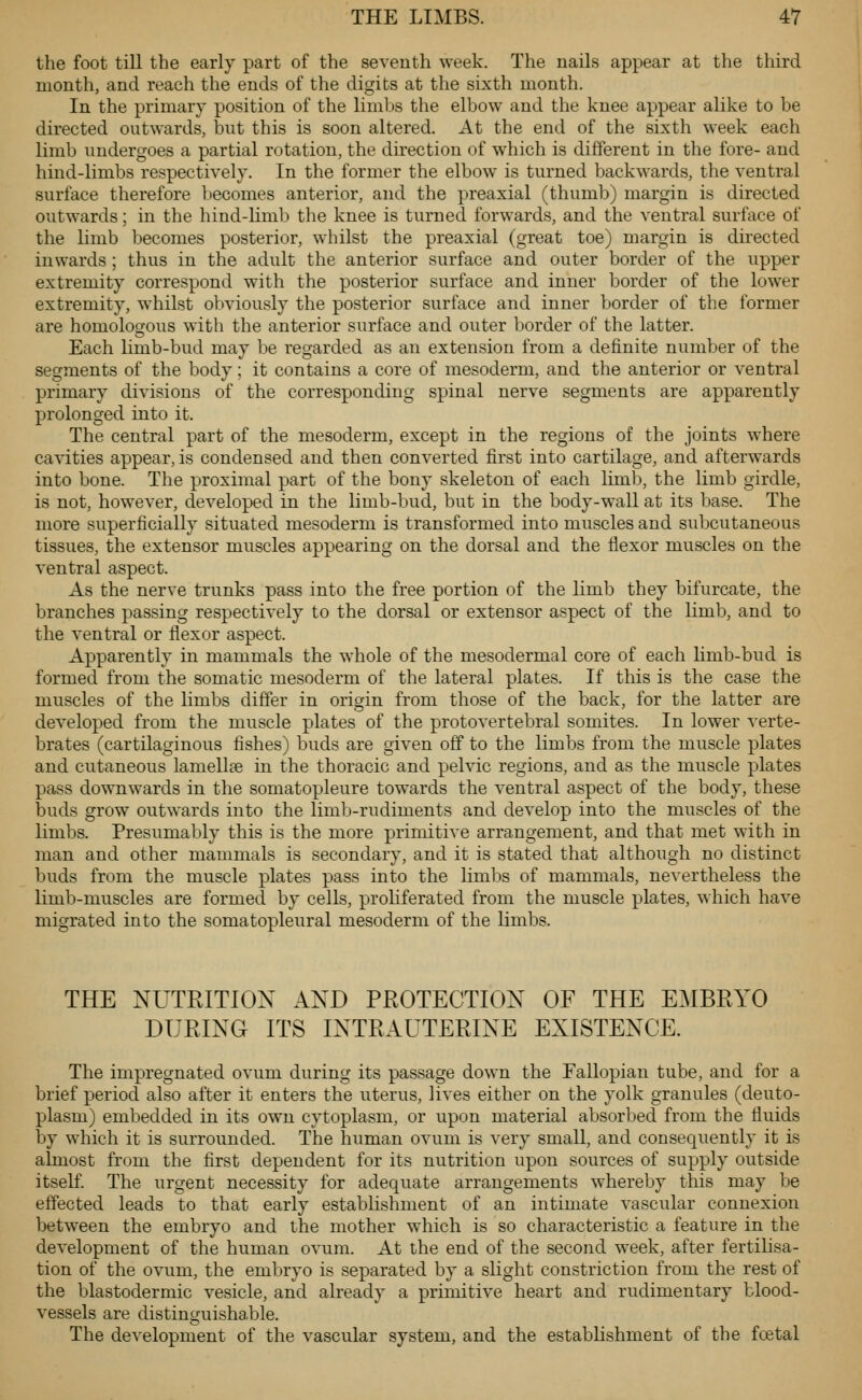 the foot till the early part of the seventh week. The nails appear at the third month, and reach the ends of the digits at the sixth month. In the primary position of the limljs the elbow and the knee appear alike to be directed outwards, but this is soon altered. At the end of the sixth week each limb undergoes a partial rotation, the direction of which is different in the fore- and hind-limbs respectively. In the former the elbow is turned backwards, the ventral surface therefore becomes anterior, and the preaxial (thumb) margin is directed outwards; in the hind-hmb the knee is turned forwards, and the ventral surface of the limb becomes posterior, whilst the preaxial (great toe) margin is directed inwards ; thus in the adult the anterior surface and outer border of the upper extremity correspond with the posterior surface and inner border of the lower extremity, whilst obviously the posterior surface and inner border of the former are homologous with the anterior surface and outer border of the latter. Each limb-bud may be regarded as an extension from a definite number of the segments of the body; it contains a core of mesoderm, and the anterior or ventral primary divisions of the corresponding spinal nerve segments are apparently prolonged into it. The central part of the mesoderm, except in the regions of the joints where cavities appear, is condensed and then converted first into cartilage, and afterwards into bone. The proximal part of the bony skeleton of each liml), the limb girdle, is not, however, developed in the limb-bud, but in the body-wall at its base. The more superficially situated mesoderm is transformed into muscles and subcutaneous tissues, the extensor muscles appearing on the dorsal and the flexor muscles on the ventral aspect. As the nerve trunks pass into the free portion of the limb they bifurcate, the branches passing respectively to the dorsal or extensor aspect of the limb, and to the ventral or flexor aspect. Apparently in mammals the whole of the mesodermal core of each limb-bud is formed from the somatic mesoderm of the lateral plates. If this is the case the muscles of the limbs differ in origin from those of the back, for the latter are developed from the muscle plates of the protovertebral somites. In lower verte- brates (cartilaginous fishes) buds are given off to the limbs from the muscle plates and cutaneous lamellee in the thoracic and pelvic regions, and as the muscle plates pass downwards in the somatopleure towards the ventral aspect of the body, these buds grow outwards into the limb-rudiments and develop into the muscles of the limbs. Presumably this is the more primitive arrangement, and that met with in man and other mammals is secondary, and it is stated that although no distinct buds from the muscle plates pass into the limbs of mammals, nevertheless the limb-muscles are formed by cells, proliferated from the muscle plates, which have migrated into the somatopleural mesoderm of the limbs. THE NUTKITION AND PROTECTION OF THE EMBRYO DURING ITS INTRAUTERINE EXISTENCE. The impregnated ovum during its passage down the Fallopian tube, and for a brief period also after it enters the uterus, lives either on the yolk granules (deuto- plasm) embedded in its own cytoplasm, or upon material absorbed from the fluids by which it is surrounded. The human ovum is very small, and consequently it is almost from the first dependent for its nutrition upon sources of supply outside itself. The urgent necessity for adequate arrangements whereby this may be effected leads to that early establishment of an intimate vascular connexion between the embryo and the mother which is so characteristic a feature in the development of the human ovum. At the end of the second week, after fertilisa- tion of the ovum, the embryo is separated by a slight constriction from the rest of the blastodermic vesicle, and already a primitive heart and rudimentary blood- vessels are distinguishable. The development of the vascular system, and the establishment of the fcetal