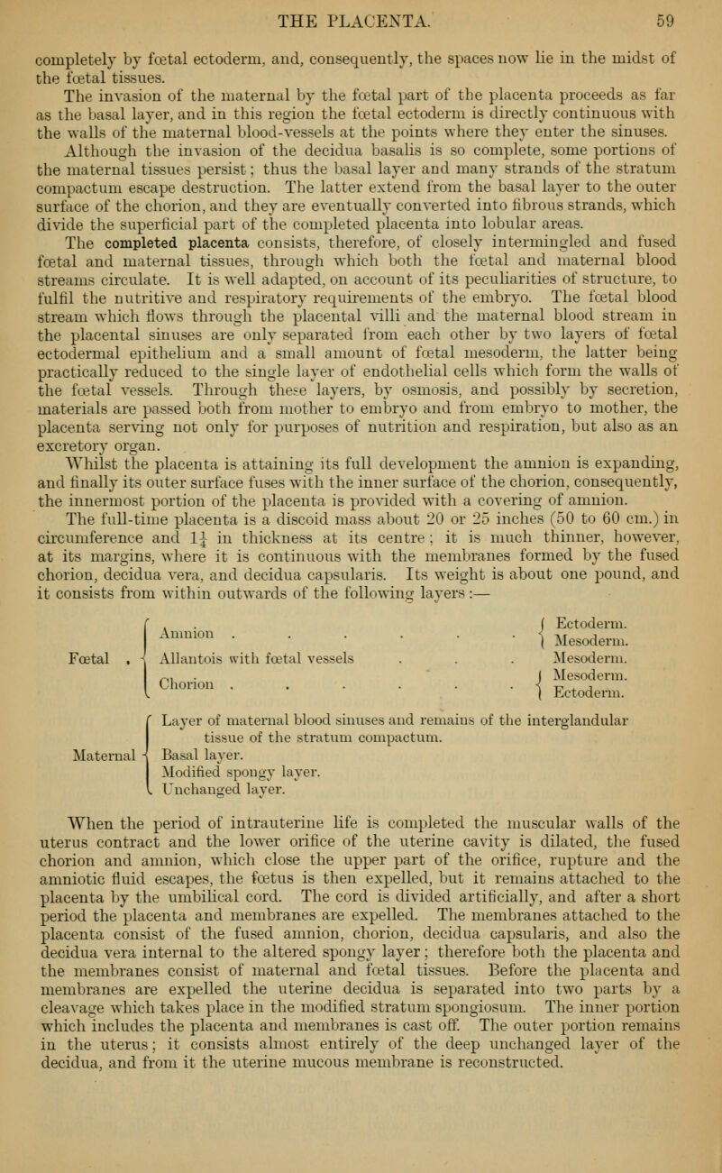 completely by fcetal ectoderm, and, consequently, the spaces now lie in the midst of the foetal tissues. The invasion of the maternal by the foetal part of the placenta proceeds as far as the basal layer, and in this region the foetal ectoderm is directly continuous with the walls of the maternal blood-vessels at the points where they enter the sinuses. Although the invasion of the decidua basalis is so complete, some portions of the maternal tissues persist; thus the basal layer and many strands of the stratum compactum escape destruction. The latter extend from the basal layer to the outer surface of the chorion, and they are eventually converted into fibrous strands, which divide the superficial part of the completed placenta into lobular areas. The completed placenta consists, therefore, of closely intermingled and fused foetal and maternal tissues, through which both the fcetal and maternal blood streams circulate. It is well adapted, on account of its peculiarities of structure, to fulfil the nutritive and respiratory requirements of the embryo. The fcetal blood stream which flows through the placental villi and the maternal blood stream in the placental sinuses are only separated irom each other by two layers of fcetal ectodermal epithelium and a small amount of foetal mesoderm, the latter being practically reduced to the single layer of endothelial cells which form the walls of the fcetal vessels. Through these layers, by osmosis, and possibly by secretion, materials are passed ijoth from mother to embryo and from embryo to mother, the placenta ser\dng not only for purposes of nutrition and respiration, but also as an excretory organ. Whilst tlie placenta is attaining its full development the amnion is expanding, and finally its outer surface fuses with the inner surface of the chorion, consequently, the innermost portion of the placenta is provided with a covering of amnion. The full-time placenta is a discoid mass about 20 or 25 inches (50 to 60 cm.) in circumference and 1\ in thickness at its centre ; it is much thinner, however, at its margins, where it is continuous with the membranes formed by the fused chorion, decidua vera, and decidua capsularis. Its weight is about one pound, and it consists from within outwards of the following layers :— Fcetal , . f Ectoderm. Amnion . . . . . • i at ^ ( Mesoderm. Allantois with foetal vessels . . . Mesoderm. I Mesoderm. Chorion Ectoderm. Layer of maternal blood sinuses and remains of the intergiandular tissue of the stratum compactum. Maternal -{ Basal la^^er. Modifiecl spongy layer. Unchanged layer. When the period of intrauterine life is completed the muscular walls of the uterus contract and the lower orifice of the uterine cavity is dilated, the fused chorion and amnion, which close the upper part of the orifice, rupture and the amniotic fluid escapes, the foetus is then expelled, but it remains attached to the placenta by the umbilical cord. The cord is divided artificially, and after a short period the placenta and membranes are expelled. The membranes attached to the placenta consist of the fused amnion, chorion, decidua capsularis, and also the decidua vera internal to the altered spongy layer; therefore both the placenta and the membranes consist of maternal and fcetal tissues. Before the placenta and membranes are expelled the uterine decidua is separated into two parts by a cleavage which takes place in the modified stratum spongiosum. The inner portion which inclucies the placenta and membranes is cast off. The outer portion remains in the uterus; it consists almost entirely of the deep unchanged layer of the decidua, and from it the uterine mucous membrane is reconstructed.