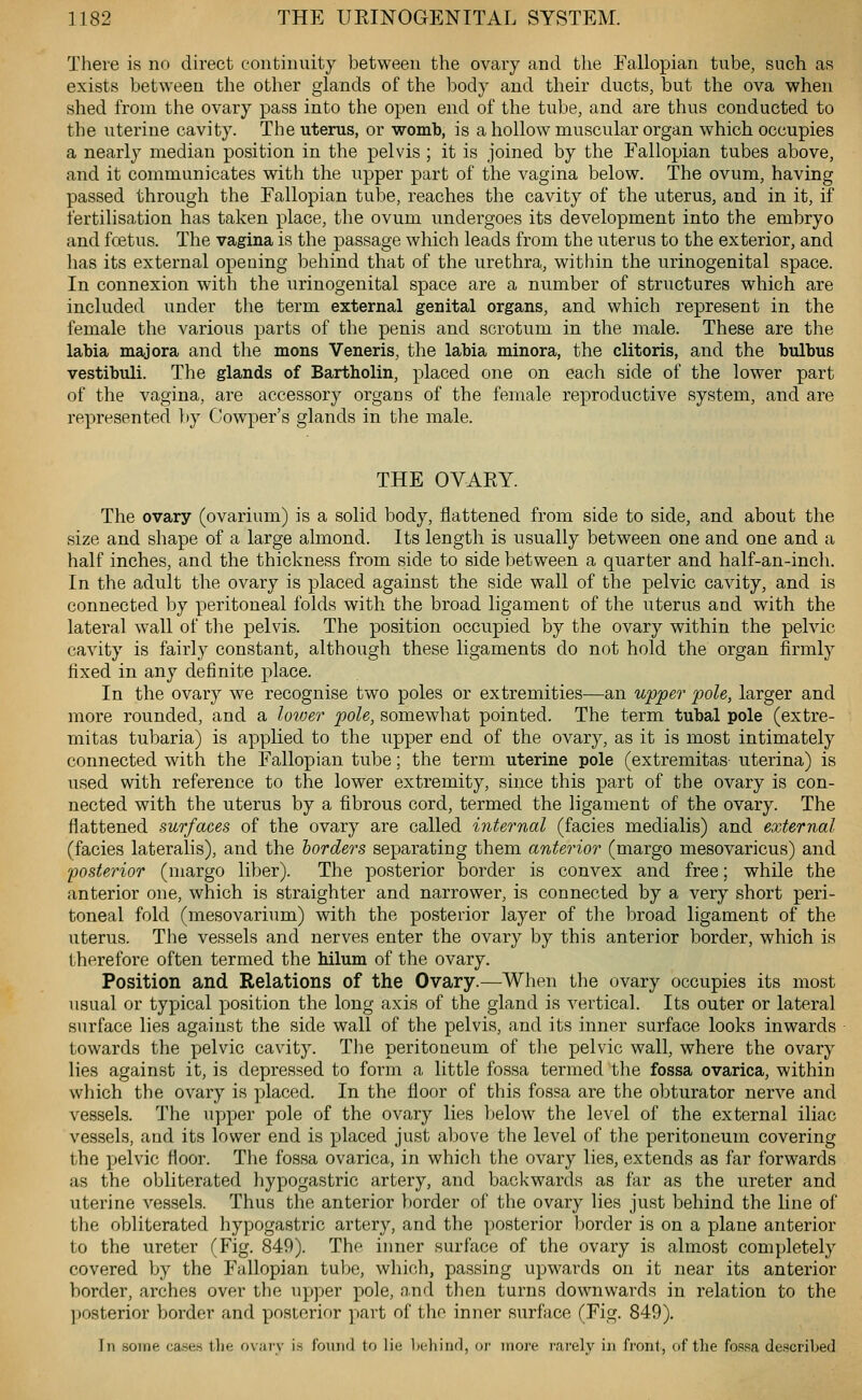 There is no direct continuity between the ovary and the Fallopian tube, such as exists between the other glands of the body and their ducts, but the ova when shed from the ovary pass into the open end of the tube, and are thus conducted to the uterine cavity. The uterus, or womb, is a hollow muscular organ which occupies a nearly median position in the pelvis ; it is joined by the Fallopian tubes above, and it communicates with the upper part of the vagina below. The ovum, having passed through the Fallopian tube, reaches the cavity of the uterus, and in it, if fertilisation has taken place, the ovum undergoes its development into the embryo and fcetus. The vagina is the passage which leads from the uterus to the exterior, and lias its external opening behind that of the urethra, witliin the urinogenital space. In connexion with the urinogenital space are a number of structures which are included under the term external genital organs, and which represent in the female the various parts of the penis and scrotum in the male. These are the labia majora and the mons Veneris, the labia minora, the clitoris, and the bulbus vestibuli. The glands of Bartholin, placed one on each side of the lower part of the vagina, are accessory organs of the female reproductive system, and are represented by Cowper's glands in the male. THE OVAEY. The ovary (ovarium) is a solid body, flattened from side to side, and about the size and shape of a large almond. Its length is usually between one and one and a half inches, and the thickness from side to side between a quarter and half-an-inch. In the adult the ovary is placed against the side wall of the pelvic cavity, and is connected by peritoneal folds with the broad ligament of the uterus and with the lateral wall of the pelvis. The position occupied by the ovary within the pelvic cavity is fairly constant, although these ligaments do not hold the organ firmly fixed in any definite place. In the ovary we recognise two poles or extremities—an upper pole, larger and more rounded, and a loioer pole, somewhat pointed. The term tubal pole (extre- mitas tubaria) is applied to the upper end of the ovary, as it is most intimately connected with the Fallopian tube; the term uterine pole (extremitas- uterina) is used with reference to the lower extremity, since this part of the ovary is con- nected with the uterus by a fibrous cord, termed the ligament of the ovary. The flattened surfaces of the ovary are called internal (facies medialis) and external (facies lateralis), and the lorders separating them anterior (margo mesovaricus) and 'posterior (margo liber). The posterior border is convex and free; while the anterior one, which is straighter and narrower, is connected by a very short peri- toneal fold (mesovarium) with the posterior layer of the broad ligament of the uterus. The vessels and nerves enter the ovary by this anterior border, which is therefore often termed the Mlum of the ovary. Position and Relations of the Ovary.—^When the ovary occupies its most usual or typical position the long axis of the gland is vertical. Its outer or lateral surface lies against the side wall of the pelvis, and its inner surface looks inwards towards the pelvic cavity. The peritoneum of the pelvic wall, where the ovary lies against it, is depressed to form a little fossa termed tlie fossa ovarica, within which the ovary is placed. In the floor of this fossa are the obturator nerve and vessels. The upper pole of the ovary lies below the level of the external iliac vessels, and its lower end is placed just above the level of the peritoneum covering the pelvic floor. The fossa ovarica, in which the ovary lies, extends as far forwards as the obliterated hypogastric artery, and backwards as far as the ureter and uterine vessels. Thus the anterior border of the ovary lies just behind the line of the obliterated hypogastric artery, and the posterior border is on a plane anterior to the ureter (Fig. 849). The inner surface of the ovary is almost completely covered by the Fallopian tube, which, passing upwards on it near its anterior border, arches over the upper pole, and then turns downwards in relation to the ]josterior border and posterior part of the inner surface (Fig. 849). In some cases the ovary is found to lie behind, oi' more rarely in front, of the fossa described