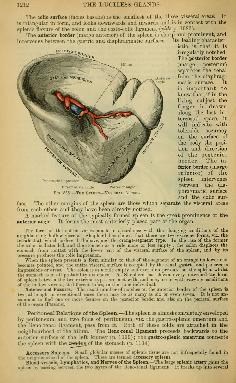 ANTERfOR Hihuii Pancreatic impression Intermediattt a ile Posterior angle The colic surface (fades basalis) is the smallest of the three visceral areas. It is triangular in form, and looks downwards and inwards, and is in contact with the splenic flexure of the colon and the costo-colic ligament (vide p. 1083). The anterior border (margo anterior) of the spleen is sharp and prominent, and intervenes between the gastric and diaphragmatic surfaces. Its leading character- istic is that it is irregularly notched. The posterior border (margo posterior) separates the renal r from the diaphrag- matic surface. It is important to know that, if in the living subject the finger is drawn along the last in- tercostal space, it will indicate with tolerable accuracy on the surface of the body the posi- tion and direction of the posterior border. The in- ferior border (margo inferior) of the spleen intervenes between the dia- phragmatic surface and the colic sur- face. The other margins of the spleen are those which separate the visceral areas from each other, and they have been already noticed. A marked feature of the typically-formed spleen is the great prominence of the anterior angle. It forms the most anteriorly-placed part of the organ. The form of tlie spleen varies much in accordance with the changing conditions of the neighbouring hollow viscera. Shepherd has shown that there are two extreme forms, viz. the tetrahedral, which is described above, and the orange-segment type. In the case of the former the colon is distended, and the stomach as a rule more or less empty : the colon displaces the stomach from contact with the lower part of the visceral surface of the spleen, and by its pressure produces the colic impression. When the spleen presents a form similar to that of the segment of an orange its lower end becomes pointed, and the entire visceral surface is occupied by the renal, gastric, and pancreatic impressions or areas. The colon is as a rule empty and exerts no pressure on the spleen, whilst the stomach is in all probability distended. As Shepherd has shown, every intermediate form of spleen between the two extreme types are met with, and may occur with varying conditions of the hollow viscera, at different times, in the same individual Notches and Fissures.—The usual number of notches on the anterior border of the spleen is two, although in exceptional cases there may be as many as six or even seven. It is not un- common to find one or more fissures on the posterior border and also on the parietal surface of the organ (Parsons). Peritoneal Relations of the Spleen.—The spleen is almost completely enveloped by peritoneum, and two folds of peritoneum, viz. the gastro-splenic omentum and the lieno-renal ligament, pass from it. Both of these folds are attached in the neighbourhood of the hilum. The lieno-renal ligament proceeds backwards to the anterior surface of the left kidney (p. 1099); the gastro-splenic omentum connects the spleen with the i««4«8 of the stomach (p. 1104). Accessory Spleens.—Small globular masses of splenic tissue are not infrequently found in the neif,dibourljood of tlie spleen. Tliose arc termed accessory spleens. Blood-vessels, Lymphatics, and Nerves of the Spleen.—The large splenic artery gains the spleen by passing between tlie two layers of the lieno-renal ligament. It breaks uji into several Fig. 868.—The Spleen—Visceral Aspect.