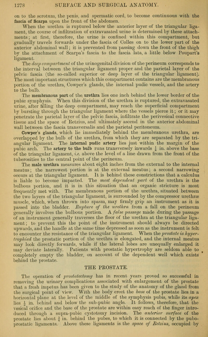 on to the scrotum, the penis, and spermatic cord, to become continuous with the fascia of Scarpa upon the front of the abdomen. When the urethra is ruptured below the anterior layer of the triangular liga- ment, the course of infiltration of extravasated urine is determined by these attach- ments ; at first, therefore, the urine is confined within this compartment, but gradually travels forwards under the fascia of CoUes on to the lower part of the anterior abdominal wall; it is prevented from passing down the front of the thigh by the attachment of Scarpa's fascia to the fascia lata, a little below Poupart's ligament. The deep compartment of the urinogenital division of the perineum corresponds to the interval between the triangular ligament proper and the parietal layer of the pelvic fascia (the so-called superior or deep layer of the triangular ligament). The most important structures which this compartment contains are the membranous portion of the urethra, Cowper's glands, the internal pudic vessels, and the artery to the bulb. The membranous part of the urethra lies one inch behind the lower border of the pubic symphysis. When this division of the urethra is ruptured, the extravasated urine, after filKng the deep compartment, may reach the superficial compartment by bursting through the triangular ligament where the vessels pierce it; or it may penetrate the parietal layer of the pelvic fascia, infiltrate the perivesical connective tissue and the space of Eetzius, and ultimately ascend in the anterior abdominal wall between the fascia transversalis and the parietal peritoneum. Cowper's glands, which lie immediately behind the membranous urethra, are overlapped by the bulb of the urethra, from which they are separated by the tri- angular ligament. The internal pudic artery lies just within the margin of the pubic arch. The artery to the bulb runs transversely inwards \ in. above the base of the triangular ligament, i.e. above the level of a line drawn from the front of the tuberosities to the central point of the perineum. The male urethra measures about eight inches from the external to the internal meatus; the narrowest portion is at the external meatus; a second narrowing occurs at the triangular ligament. It is behind these constrictions that a calculus is liable to become impacted. The most dependent part of the urethra is the bulbous portion, and it is in this situation that an organic stricture is most frequently met with. The membranous portion of the urethra, situated between the two layers of the triangular ligament, is surrounded by the compressor urethrse muscle, which, when thrown into spasm, may firmly grip an instrument as it is passed into the bladder. Rupture of the urethra from a fall on the perineum generally involves the bulbous portion. A false 'passage made during the passage of an instrument generally traverses the floor of the urethra at the triangular liga- ment; to prevent this the point of the instrument should always be directed upwards, and the handle at the same time depressed as soon as the instrument is felt to encounter the resistance of the triangular ligament. When tYiQ prostate is hyper- trophied the prostatic portion of the urethra is elongated, and the internal meatus may look directly forwards, while if the lateral lobes are unequally enlarged it may deviate laterally. Patients with prostatic hypertrophy are seldom able to completely empty the bladder, on account of the dependent well which exists behind the prostate. THE PKOSTATE. The operation of prostatectomy has in recent years proved so successful in removing the urinary complications associated with enlargement of the prostate that a fresh impetus has been given to the study of the anatomy of the gland from the surgical point of view. With the body erect the hase of the prostate lies in a horizontal plane at the level of the middle of the symphysis pubis, while its apex Lies ^ in. liehind and below the sub-pubic angle. It follows, therefore, that the vesical orifice and the base of the prostate are within easy reach of the finger intro- duced through a supra-pubic cystotomy incision. The anterior surface of the prostate lies about | in. behind the pubes, to which it is connected by the pubo- prostatic ligaments. Above these ligaments is the syace of Eetzius, occupied by