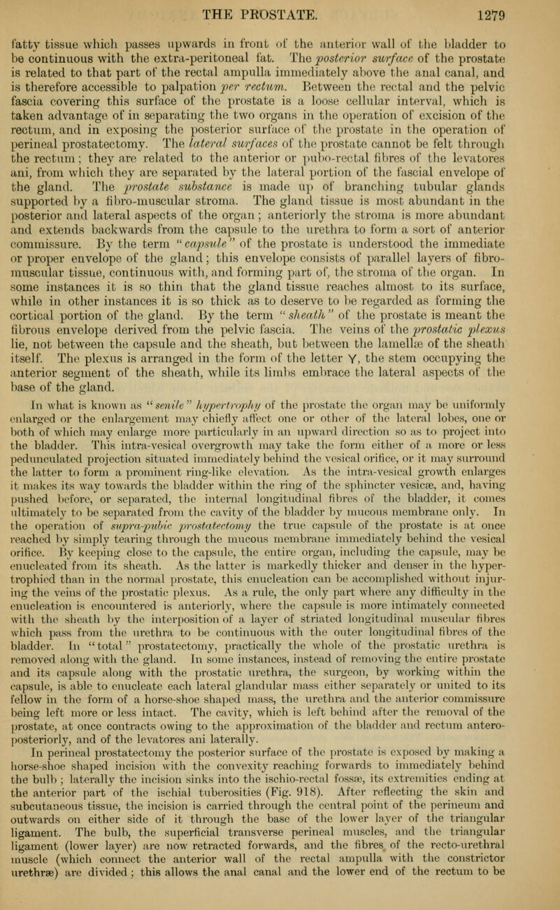 fatty tissue whicli passes upwards iu front of the anterior wall of the bladder to be continuous with the extra-peritoneal fat. The posterior surface of the prostate is related to that part of the rectal ampulla immediately above the anal canal, and is therefore accessible to palpation per rectum. Between the rectal and the pelvic fascia covering this surface of the prostate is a loose cellular interval, which is taken advantage of in separating the two organs in the operation of excision of the rectum, and in exposing the posterior surface ol' tlie prostate in the operation of perineal prostatectomy. The lateral surfaces of the prostate cannot be felt through the rectum; they are related to the anterior or ■i)u})o-rectal fibres of the leva tores ani, from wiiich they are separated by the lateral portion of the fascial envelope of the gland. The prostate substance is made up of branching tubular glands supported by a fibro-muscular stroma. The gland tissue is most abundant in the posterior and lateral aspects of the organ; anteriorly the stroma is more abundant and extends backwards from the capsule to the urethra to Ibrm a sort of anterior commissure. By the term  capsule  of the prostate is understood the immediate or proper envelope of the gland; this envelope consists of parallel layers of fibro- nmscular tissue, continuous with, and forming part of, the stroma of the organ. In some instances it is so thin that the gland tissue reaches almost to its surface, while in other instances it is so thick as to deserve to l)e regarded as forming the cortical portion of the gland. Bj the term  sheath  of the prostate is meant the fibrous envelope derived from the pelvic fascia. The veins of the 2^'^ostatiG pil^^us lie, not between the capsule and the sheath, but between the lamellte of the sheath itself. The plexus is arranged in the form of the letter Y, the stem occupying the anterior segment of the sheath, while its limbs embrace the lateral aspects of the base of the gland. In what is known as  senile  hyperiropliy of the prostate the organ may be uniformly enlarged or the enlargement may chiefly affect one or other of the lateral lobes, one or both of which may enlarge more particularly in an upward direction so as to project into the bladder. This intra-vesical overgrowth may take the form either of a more or less pedunculated projection situated immediately behind the vesical orifice, or it may surround the latter to form a prominent ring-like elevation. As the intra-vcsical growth enlarges it makes its way towards tlie bladder within the ring of the sphincter vesicte, and, having pushed ])efore, or separated, tlie internal longitudinal fibres of the bladder, it comes ultimately to be separated from the cavity of the bladder by mucous membrane only. In the operation of svpra-ptibic prostatectomy the true capsule of the prostate is at once reached by simply tearing through the mucous membrane immediately beliind the vesical orifice. By keeping close to the capsule, the entire organ, including the capsule, may be enuclciited from its sheath. As the latter is markedly thicker and denser in the hyper- trophied than in the normal prostate, this enucleation can be accomplished withoiit injur- ing the veins of the prostatic plexus. As a rule, the only part where any difficulty in the enucleation is encountered is anteriorly, where the capside is more intimately connected with the sheath by the interposition of a layer of striated longitudinal nmscular fibres which pass from the urethra to be continuous with the oiiter longitudinal fibres of the bladder, fn  total prostatectomy, practically the whole of the prostatic lu'ethra is removed along with the gland. In some instances, instead of removing the entire prostate and its capsule along with the pi'ostatic urethra, the surgeon, by working within the capsule, is able to enucleate each lateral glandular mass either separately or imited to its fellow in the form of a horse-shoe shaped mass, the urethra and the anterior commissure being left more or less intact. The cavity, which is left behind after the I'emoval of the prostate, at once contracts owing to the approximation of the bladder and rectum antero- posteriorly, and of the levatoi-es ani laterally. In perineal pi'ostatectomy the posterior surface of the prostate is exposed by making a liorse-shoe shaped incision with the convexity reaching forwards to immediately behind the bulb; laterally the incision sinks into the ischio-rectal fossa), its extremities ending at the anterior part of the ischial tuberosities (Fig. 918). After reflecting the skin and subcutaneous tissue, the incision is carried through the central point of the perineum and outwards on either side of it through the base of the lower layer of tiie triangular ligament. The bulb, the superficial transverse perineal muscles, and the triangular ligament (lower layer) are now retracted forwards, and the fibres of the recto-urethral muscle (which connect the anterior wall of the rectal ampulla with the constrictor urethrse) are divided ; this allows the anal canal and the lower end of the rectum to be