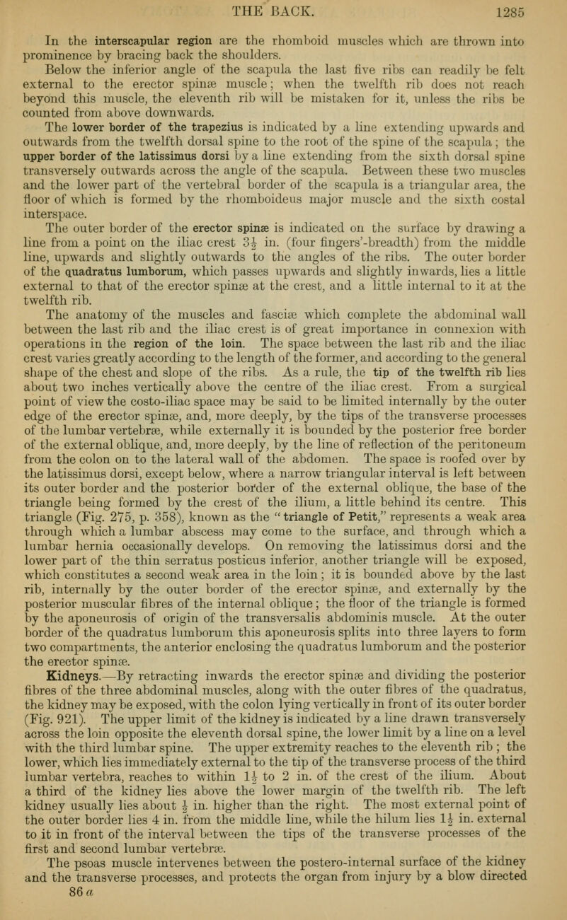 In the interscapular region are the rhomboid muscles which are thrown into prominence by bracing back the shoulders. Below the inferior angle of the scapula the last five ribs can readily be felt external to the erector spinse muscle; when the twelfth rib does not reach beyond this muscle, the eleventh rib will be mistaken for it, unless the ribs be counted from above downwards. The lower border of the trapezius is indicated by a line extending upwards and outwards from the twelfth dorsal spine to the root of the syjine of the scapula; the upper border of the latissimus dorsi by a line extending from the sixth dorsal spine transversely outwards across the angle of the scapula. Between these two muscles and the lower part of the vertebral border of the scapula is a triangular area, the floor of which is formed by the rhomboideus major muscle and the sixth costal interspace. The outer border of the erector spinse is indicated on the surface by drawing a line from a point on the iliac crest 3^ in. (four fingers'-breadth) from the middle line, upwarcls and slightly outwards to the angles of the ribs. The outer border of the quadratus lumborum, which passes upwards and slightly inwards, lies a little external to that of the erector spinse at the crest, and a little internal to it at the twelfth rib. The anatomy of the muscles and fasciae which complete the abdominal wall between the last rib and the iliac crest is of great importance in connexion with operations in the region of the loin. The space between the last rib and the iliac crest varies greatly according to the length of the former, and according to the general shape of the chest and slope of the ribs. As a rule, the tip of the twelfth rib lies about two inches vertically above the centre of the iliac crest. From a surgical point of view the costo-iliac space may be said to be hmited internally by the outer edge of the erector spinse, and, more deeply, by the tips of the transverse processes of the lumbar vertebrse, while externally it is bounded by the posterior free border of the external oblique, and, more deeply, by the line of reflection of the peritoneum from the colon on to the lateral wall of the abdomen. The space is roofed over by the latissimus dorsi, except below, where a narrow triangular interval is left between its outer border and the posterior boi'der of the external oblique, the base of the triangle being formed by the crest of the ilium, a little behind its centre. This triangle (Fig. 275, p. 358), known as the triangle of Petit, represents a weak area through which a lumbar abscess may come to the surface, and through which a lumbar hernia occasionally develops. On removing the latissimus dorsi and the lower part of the thin serratus posticus inferior, another triangle will be exposed, which constitutes a second weak area in the loin; it is bounded above by the last rib, internally by the outer border of the erector spinse, and externally by the posterior muscular fibres of the internal oblique; the floor of the triangle is formed by the aponeurosis of origin of the transversalis abdominis muscle. At the outer border of the quadratus lumboruru this aponeurosis splits into three layers to form two compartments, the anterior enclosing the quadratus lumborum and the posterior the erector spina. Kidneys.—By retracting inwards the erector spinse and dividing the posterior fibres of the three abdominal muscles, along with the outer fibres of the quadratus, the kidney may be exposed, with the colon lying vertically in front of its outer border (Fig. 921). The upper limit of the kidney is indicated by a line drawn transversely across the loin opposite the eleventh dorsal spine, the lower limit by a line on a level with the third lumbar spine. The upper extremity reaches to the eleventh rib ; the lower, which lies immediately external to the tip of the transverse process of the third lumbar vertebra, reaches to within Ih to 2 in. of the crest of the ihum. About a third of the kidney lies above the lower margin of the twelfth rib. The left kidney usually lies about i in. higher than the right. The most external point of the outer border lies 4 in. from the middle line, while the hilum lies 1| in. external to it in front of the interval between the tips of the transverse processes of the first and second lumbar vertebrse. The psoas muscle intervenes between the postero-internal surface of the kidney and the transverse processes, and protects the organ from injury by a blow directed 86 a