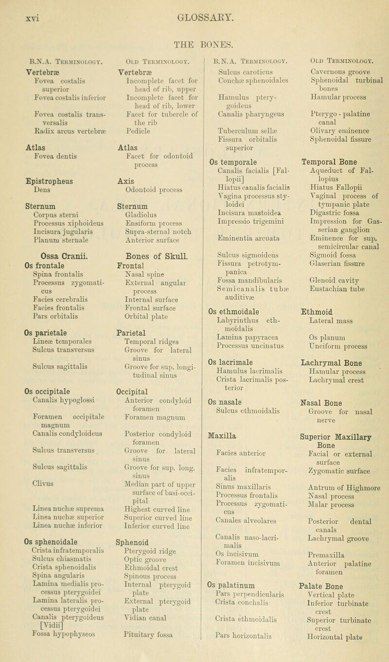 THE BOXES. R.N.A. Tkk.minui OGT. Vertebrae Fovea costalis superior Fovea costalis inferior Fovea costalis trans- versalis Kadix arcus vertebrae Atlas Fovea dentis Epistropheus Dens Sternum Corpus stern i Processus xiphoideus Incisura jugularis Planum sternale Ossa Cranii. Os frontale Spina frontalis Processus zygomati- cs Facies cerebralis Fades frontalis Pars orbitalis Os parietale Linese temporales Sulcus transversus Sulcus sa»ittalis Os occipitale Canalis bypoglossi Foramen occipitale magnum Canalis condyloideus Sulcus transversus Sulcus sagittalis Clivus Linea nuchfe suprema Linea nuchaj supeiior Linea nuchse inferior Os sphenoidale Crista infratemporalis Sulcus cliiasmatis Crista sphenoidalis Spina angularis Lamina medialis pro- cessus pterygoidei Lamina lateralis pro- cessus pterygoidei Canalis pterygoideus [Vidii] Fossa hypopbyseos Old Terminology. Vertebrae Incomplete facet for head of rib, upper Incomplete facet for bead of rib, lower Facet fox tubercle of the rib Pedicle Atlas Facet for odontoid process Axis Odontoid process Sternum Gladiolus Ensiform process Supra-sternal notch Anterior surface Bones of Skull. Frontal Nasal spine External angular process Internal surface Frontal surface Orbital plate Parietal Temporal ridges Groove for lateral sinus Groove for sup. longi- tudinal sinus Occipital Anterior condyloid foramen Foramen magnum Posterior condyloid foramen Groove for lateral sinus Groove for sup. long. sinus Median part of upper surface of basi-occi- pital Highest curved line Superior curved line Inferior curved line Sphenoid Pterygoid ridge Optic groove Ethmoidal crest Spinous process Internal pterygoid plate External pterygoid plate Vidian canal Pituitary fossa B.N.A. Terminology. Sulcus caroticus Concha? sphenoidales Hamulus ptery- goideus Canalis pharyngeus Tuberculum sellse Fissura orbitalis superior Os temporale Canalis facialis [Fal- lopii] Hiatus canalis facialis Vagina processus sty- loidei Incisura mastoidea Impressio trigemini Eminentia arcuata Sulcus sigmoideus Fissura petrotym- panica Fossa mandibularis Semicanalis tubse auditivse Os ethmoidale Labyrinthus eth- moidals Lamina papyracea Processus uncinatus Os lacrimale Hamulus laurimalis Crista lacrimalis pos- terior Os nasale Sulcus ethmoidalis Maxilla Facies anterior Facies infratempor- alis Sinus maxillaris Processus frontalis Processus zygomati- cs Can ales alveolar es Canalis naso-lacri- malis Os incisivum Foramen incisivum Os palatinum Pars perpendicularis Crista conchalis Crista ethmoidalis Pars horizontalis Old Terminology. Cavernous groove Sphenoidal turbinal bones Hamular process Pterygo - palatine canal Olivary eminence Sphenoidal fissure Temporal Bone Aqueduct of Fal- lopius Hiatus Fallopii Vaginal process of tympanic plate Digastric fossa Impression for Gas- serian ganglion Eminence for sup. semicircular canal Sigmoid fossa Glaserian fissure Glenoid cavity Eustachian tube Ethmoid Lateral mass Os planum Unciform process Lachrymal Bone Hamular process Lachrymal crest Nasal Bone Groove for nerve nasal Superior Maxillary Bone Facial or external surface Zygomatic surface Antrum of Highmore Nasal process Malar process Posterior dental canals Lachrymal groove Premaxilla Anterior palatine foramen Palate Bone Vertical plate Inferior turbinate crest Superior turbinate crest Horizontal plate