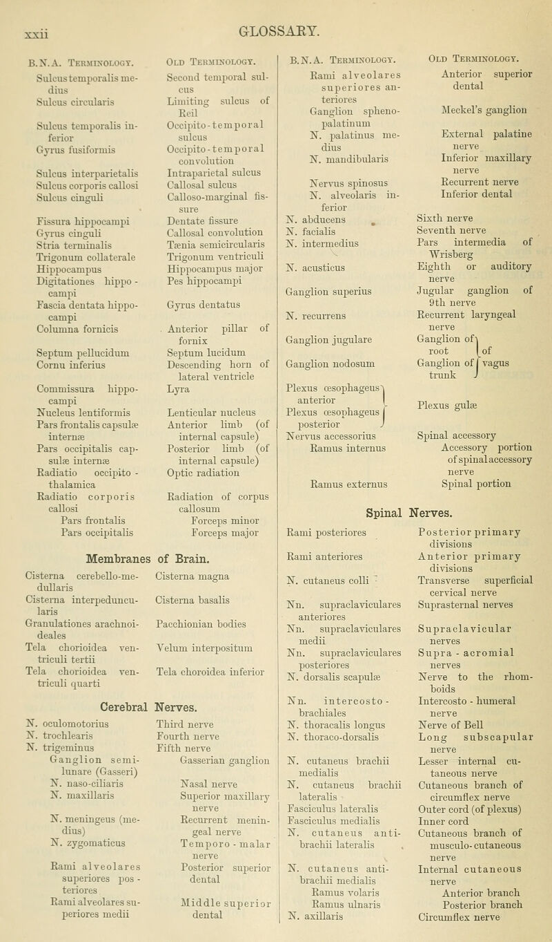 B.N.A. Tkrmtnologt. Sulcus temporalis me- dius Sulcus circularis Sulcus temporalis in- ferior Gyrus fusiformis Sulcus interparietalis Sulcus corporis callosi Sulcus cinguli Fissura hippocampi Gyrus einguli Stria terruinalis Trigonum collaterale Hippocampus Digitationes hippo - campi Fascia dentata hippo- campi Columna fornicis Septum pellucidum Cornu inferius Commissura hippo- campi Nucleus lentiformis Pars frontalis capsulse internse Pars occipitalis cap- sulae internse Radiatio occipito - thalarnica Radiatio corporis callosi Pars frontalis Pars occipitalis Old Terminology. Second temporal sul- cus Limiting sulcus of Reil Occipito -temporal sulcus Occipito -temporal convolution Intraparietal sulcus Callosal sulcus Calloso-marginal fis- sure Dentate fissure Callosal convolution Taenia semicircularis Trigonum ventriculi Hippocampus major Pes hippocampi Gyrus dentatus Anterior pillar of fornix Septum lucidum Descending horn of lateral ventricle Lyra Lenticular nucleus Anterior limb (of internal capsule) Posterior limb (of internal capsule) Optic radiation Radiation of corpus callosum Forceps minor Forceps major Membranes of Brain. Cisterna cerebello-me- Cisterna magna dullaris Cisterna interpeduncu- Cisterna basalis laris Granulationes arachnoi- Pacchionian bodies deales Tela chorioidea ven- Velum interpositum triculi tertii Tela chorioidea ven- Tela choroidea inferior triculi quarti Cerebral Nerves N. oculomotorius N. trochlearis N. trigeminus Ganglion serai- lunare (Gasseri) X. naso-ciliaris N. maxillaris Third nerve Fourth nerve Fifth nerve Gasserian ganglion N. meningeus (me- dius) N. zygomaticus Rami alveolares superiores pos - teriores Rami alveolares su- periores medii Nasal nerve Superior maxillary nerve Recurrent menin- geal nerve Temporo - malar nerve Posterior superior dental Middle superior dental B.N.A. Terminology. Rami alveolares superiores an- teriores Ganglion spheno- palatinum N. palatums me- dius N. mandibularis Nervus spinosus N. alveolaris in- ferior X. abducens m N. facialis N. intermedius N. acusticus Ganglion superius N. recurrens Ganglion jugulare Ganglion nodosum Plexus cesophageus,| anterior Plexus cesophageus J posterior J Nervus accessorius Ramus internus Ramus externus Old Terminology. Anterior superior dental Meckel's ganglion External palatine nerve Inferior maxillary nerve Recurrent nerve Inferior dental Sixth nerve Seventh nerve Pars intermedia of Wrisberg Eighth or auditory nerve Jugular ganglion of 9th nerve Recurrent laryngeal nerve Ganglion ofr Ganglion of I vagus root of trunk Plexus gulaa Spinal accessory Accessory portion of spinal accessory nerve Spinal portion Spinal Nerves. Rami posteriores Rami anteriores N. cutaneus colli • Nn. supraclaviculares anteriores Nn. supraclaviculares medii Nn. supraclaviculares posteriores N. dorsalis scapulse Nn. intercosto - brachiales N. thoracalis longus N. thoraco-dorsalis N. cutaneus brachii medialis N. cutaneus brachii lateralis Fasciculus lateralis Fasciculus medialis N. cutaneus anti- brachii lateralis N. cutaneus anti- brachii medialis Ramus volaris Ramus ulnaris N. axillaris Posterior primary divisions Anterior primary divisions Transverse superficial cervical nerve Suprasternal nerves Supraclavicular nerves Supra - acromial nerves Nerve to the rhom- boids Intercosto - humeral nerve Nerve of Bell Long subscapular nerve Lesser internal cu- taneous nerve Cutaneous branch of circumflex nerve Outer cord (of plexus) Inner cord Cutaneous branch of musculo- cutaneous nerve Internal cutaneous nerve Anterior branch Posterior branch Circumflex nerve