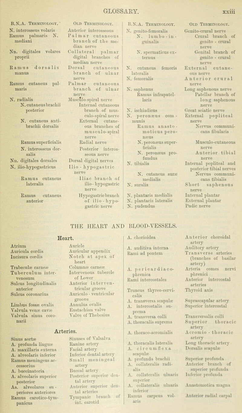 B.N.A. Terminology. N. interosseus volaris Eamus palmaris N. mediani Nn. digitales volares proprii Ramus dorsalis nianus Ramus cutaneus pal- maris N. radialis N. cutaneus brachii posterior N. cutaneus anti- brachii dorsalis Ramus superficialis N. interosseus dor- salis Nn. digitales dorsales N. ilio-hypogastricus Ramus cutaneus lateralis Ramus cutaneus anterior Old Terminology. Anterior interosseous Palmar cutaneous branch of the me- dian nerve Collateral palmar digital branches of median nerve Dorsal cutaneous branch of ulnar nerve Palmar cutaneous branch of ulnar nerve Musculo-spiral nerve Internal cutaneous branch of mus- culo-spiral nerve External cutane- ous branches of musculo-spiral nerve Radial nerve Posterior interos- seous nerve Dorsal digital nerves Ilio - hypogastric nerve Iliac branch of ilio - hypogastric nerve Hypogastric branch of ilio - hypo- gastric nerve B.X.A. Terminology. N. genito-femoralis X. lumbo - in - guinalis X. spermaticus ex- ternus X. cutaneus fernoris lateralis X. femoralis X. saphenus Ramus infrapatel- laris X. ischiadicus X. peronseus com - munis Ramus anasto - moticus pero- nteus X. peronseus super- ficialis X. peronfeus pro- fundus X. tibialis X. cutaneus surae medialis X. suralis X. plantaris medialis X. plantaris lateralis X. pudendus Old Terminology. Genito-crural nerve Crural branch of genito - crural nerve Genital branch of genito - crural nerve External cutane- ous nerve Anterior crural nerve Long saphenous nerve Patellar branch of long saphenous nerve Great sciatic nerve External popliteal nerve Xervus communi- cans fibularis Musculo-cutaneous nerve Anterior tibial nerve Internal popliteal and posterior tibial nerves Nervus commuui- cans tibialis Short saphenous nerve Internal plantar External plantar Pudic nerve THE HEART AND BLOOD-VESSELS. Heart. Atrium Auricula cordis Incisura cordis Trabeculse carnese Tuberculum inter- venosum Sulcus longitudinalis anterior Sulcus coronarius Limbus fossse ovalis Valvula vense cavse Valvula sinus coro- narii Auricle Auricular appendix Notch at apex of heart Colunmse carnese Inter venous tubercle of Lower Anterior interven- tricular groove Auriculo - ventricular groove Annulus ovalis Eustachian valve Valve of Thebesius Arteries. Sinus aortfe A. profunda lingiue A. maxillaris externa A. alveolaris inferior Ramus meningeus ac- cessorius A. buccinatoria A. alveolaris superior posterior Aa. alveolares su - periores anteriores Ramus carotico-tym- panicus Sinuses of Valsalva Ranine artery Facial artery Inferior dental artery Small meningeal artery Buccal artery Posterior superior den- tal artery Anterior superior den- tal arteries Tympanic branch of int. carotid A. chorioidea A. auditiva interna Rami ad pontem A. pericardiaco- phrenica Rami intercostales Truncus thyreo-cervi- calis A. transversa scapula A. intercostalis su- prema A. transversa colli A. thoracalis suprema A. thoraeo-acromialis A. thoracalis lateralis A. circumflexa scapulae A. profunda brachii A. collateralis radi- alis illateralia ulnaris superior A. collateralis ulnaris inferior Ramus carpeus vol- aris Anterior choroidal artery Auditory artery Transverse arteries (branches of basilar artery) Arteria comes nervi phrenici Anterior intercostal arteries Thyroid axis Suprascapular artery Superior intercostal Transversalis colli Superior thoracic artery Acromio - thoracic artery Long thoracic artery [is scapulae Superior profunda Anterior branch of superior profunda [nferior profunda Anastomotica magna Anterior radial carpal