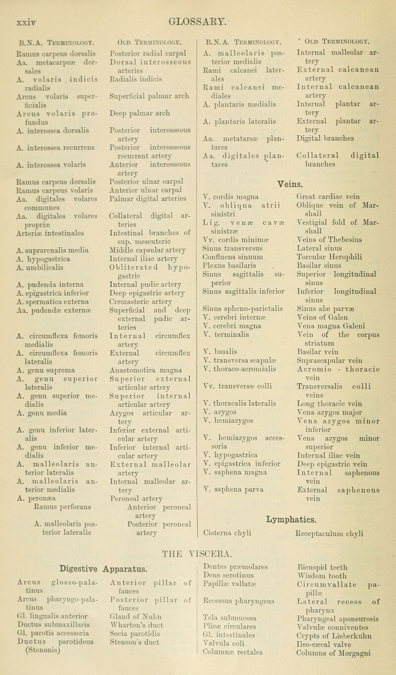 B.N.A. Terminology. Ramus carpeus dorsalia Aa. metacarpea? dor- sales A. volaria indicis radialis Areas volaris super- ficialis Areas volaris pro- fundus A. interossea dorsalis A. interossea recurrens A. interossea volaris Ramus carpeus dorsalis Ramus carpeus volaris Aa. digitales volares communes Aa. digitales volares propria? Arteria? intestinales A. suprarenalis media A. hypogastrica A. umbilicalis A. pudenda interna A. epigastrica inferior A. spermatica externa Aa. pudenda? externa? A. circumfiexa femoris medialis A. circumfiexa femoris lateralis A. genu suprema A. genu superior lateralis A. genu superior me- dialis A. genu media A. genu inferior later- alis A. genu inferior me- dialis A. malleolaris an- terior lateralis A. malleolaris an- terior medialis A. peronaea Ramus perforans A. malleolaris pos- terior lateralis Old Terminology. Posterior radial carpal Dorsal interosseous arteries Radialis indicis Superficial palmar arch Deep palmar arch Posterior interosseous artery- Posterior interosseous recurrent artery Anterior interosseous artery Posterior ulnar carpal Anterior ulnar carpal Palmar digital arteries Collateral digital ar- teries Intestinal branches of sup. mesenteric Middle capsular artery Internal iliac artery Obliterated hypo- gastric Internal pudic artery Deep epigastric artery Cremasteric artery Superficial and deep external pudic ar- teries Internal circumflex artery External circumflex artery Anastomotica magna Superior external articular artery Superior internal articular artery Azygos articular ar- tery Inferior external arti- cular artery Inferior internal arti- cular artery External malleolar artery Internal malleolar ar- tery Peroneal artery Anterior peroneal artery Posterior peroneal artery B.N.A. Terminology. A. malleolaris pos- terior medialis Rami calcanei later- ales Rami calcanei me- diales A. plantaris medialis A. plantaris lateralis Aa. metatarsal plan- tares Aa. digitales plan- tares V. cordis magna Y. obliqua atrii sinistri Lig. vena? cava? sinistra? Vv. cordis minima? Sinus trausversus Confluens sinuum Plexus basilaris Sinus sagittalis su- perior Sinus sagittalis inferior Sinus spheno-parietalis V. cerebri interna? V. cerebri magna V. terminalis V. basalis V. transversa scapula? V. thoraco-acromialis Vv. transversa? colli V. thoracalis lateralis V. azygos V. hemiazygos V. hemiazygos acces- soria V. hypogastrica V. epigastrica inferior V. saphena magna V. saphena parva ' Old Terminology. Internal malleolar ar- tery External calcanean artery Internal calcanean artery Internal plantar ar- tery External plantar ar- tery Digital branches Collateral digital branches Veins. Great cardiac vein Oblique vein of Mar- shall Vestigial fold of Mar- shall Veins of Thebesius Lateral sinus Torcular Herophili Basilar sinus Superior longitudinal sinus Inferior longitudinal sinus Sinus ala? parva? Veins of Galen Vena magna Galeni Vein of the corpus striatum Basilar vein Suprascapular vein Acromio - thoracic vein Transversalis colli veins Long thoracic vein Vena azygos major Vena azygos minor inferior Vena azygos minor superior Internal iliac vein Deep epigastric vein Internal saphenous vein External saphenous vein Cisterna chyli Lymphatics. Receptaculum chyli THE VISCERA. Digestive Apparatus. Arcus glosso-pala- tinus Arcus pharyngo-pala- tinus Gl. lingualis anterior Ductus submaxillaris Gl. parotis accessoria Ductus parotideus (Stenonis) Anterior pillar of fauces Posterior pillar of fauces Cland of Nuhn Wharton's duct Socia parotidis Stenson's duct Dentes pra?molares Deus serotinus Papilla? vallata? Recessus pharyngeus Tela submucosa Plica? circulares Gl. intestinales Valvula coli Columna? rectales Bicuspid teeth Wisdom tooth Circumvallate pa- pilla? Lateral recess of pharynx Pharyngeal aponeurosis Valvula? conniventes Crypts of Lieberkuhn Ileo-ca?eal valve Columns of Morgagni