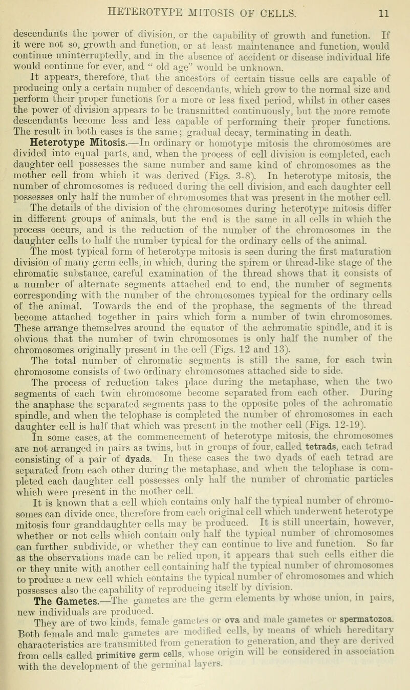 descendants the power of division, or the capability of growth and function. If it were not so, growth and function, or at least maintenance and function, would continue uninterruptedly, and in the absence of accident or disease individual life would continue for ever, and  old age would be unknown. It appears, therefore, that the ancestors of certain tissue cells are capable of producing only a certain number of descendants, which grow to the normal size and perform their proper functions for a more or less fixed period, whilst in other cases the power of division appears to be transmitted continuously, but the more remote descendants become less and less capable of performing their proper functions. The result in both cases is the same; gradual decay, terminating in death. Heterotype Mitosis.—In ordinary or homotype mitosis the chromosomes are divided into equal parts, and, when the process of cell division is completed, each daughter cell possesses the same number and same kind of chromosomes as the mother cell from which it was derived (Figs. 3-8). In heterotype mitosis, the number of chromosomes is reduced during the cell division, and each daughter cell possesses only half the number of chromosomes that was present in the mother cell. The details of the division of the chromosomes during heterotype mitosis differ in different groups of animals, but the end is the same in all cells in which the process occurs, and is the reduction of the number of the chromosomes in the daughter cells to half the number typical for the ordinary cells of the animal. The most typical form of heterotype mitosis is seen during the first maturation division of many germ cells, in which, during the spirem or thread-like stage of the chromatic substance, careful examination of the thread shows that it consists of a number of alternate segments attached end to end, the number of segments corresponding with the number of the chromosomes typical for the ordinary cells of the animal. Towards the end of the prophase, the segments of the thread become attached together in pans which form a number of twin chromosomes. These arrange themselves around the equator of the achromatic spindle, and it is obvious that the number of twin chromosomes is only half the number of the chromosomes originally present in the cell (Figs. 12 and 13). The total number of chromatic segments is still the same, for each twin chromosome consists of two ordinary chromosomes attached side to side. The process of reduction takes place during the metaphase, when the two segments of each twin chromosome become separated from each other. During the anaphase the separated segments pass to the opposite poles of the achromatic spindle, and when the telophase is completed the number of chromosomes in each daughter cell is half that which was present in the mother cell (Figs. 12-19). In some cases, at the commencement of heterotype mitosis, the chromosomes are not arranged in pairs as twins, but in groups of four, called tetrads, each tetrad consisting of a pair of dyads. In these cases the two dyads of each tetrad are separated from each other during the metaphase, and when the telophase is com- pleted each daughter cell possesses only half the number of chromatic particles which were present in the mother cell. It is known that a cell which contains only half the typical number of chromo- somes can divide once, therefore from each original cell which underwent heterotype mitosis four granddaughter cells may be produced. It is still uncertain, however, whether or not cells which contain only half the typical number of chromosomes can further subdivide, or whether they can continue to live and function. So far as the observations made can be relied upon, it appears that such cells either die or they unite with another cell containing half the typical number of chromosomes to produce a new cell which contains the typical number of chromosomes and which possesses also the capability of reproducing itself by division. The Gametes.—The gametes are the germ elements by whose union, in pans, new individuals are produced. They are of two kinds, female gametes or ova and male gametes or spermatozoa. Both female and male gametes are modified cells, by means of which hereditary characteristics are transmitted from generation to generation, and they are derived from cells called primitive germ cells, whose origin will be considered in association with the development of the germinal layers.