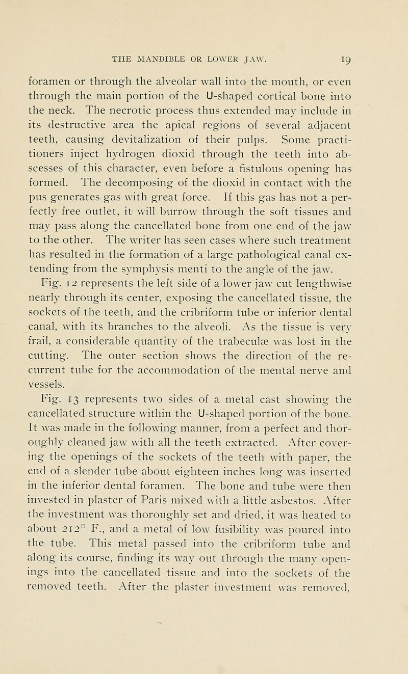 foramen or through the alveolar wall into the mouth, or even through the main portion of the U-shaped cortical bone into the neck. The necrotic process thus extended may include in its destructive area the apical regions of several adjacent teeth, causing devitalization of their pulps. Some practi- tioners inject hydrogen dioxid through the teeth into ab- scesses of this character, even before a fistulous opening has formed. The decomposing of the dioxid in contact with the pus generates gas with great force. If this gas has not a per- fectly free outlet, it will burrow through the soft tissues and may pass along the cancellated bone from one end of the jaw to the other. The writer has seen cases where such treatment has resulted in the formation of a large pathological canal ex- tending from the symphysis menti to the angle of the jaw. Fig. 12 represents the left side of a lower jaw cut lengthwise nearly through its center, exposing the cancellated tissue, the sockets of the teeth, and the cribriform tube or inferior dental canal, with its branches to the alveoli. As the tissue is very frail, a considerable quantity of the trabecuke was lost in the cutting. The outer section shows the direction of the re- current tube for the accommodation of the mental nerve and vessels. Fig. 13 represents two sides of a metal cast showing the cancellated structure within the U-shaped portion of the bone. It was made in the following manner, from a perfect and thor- oughly cleaned jaw with all the teeth extracted. After cover- ing the openings of the sockets of the teeth with paper, the end of a slender tube about eighteen inches long was inserted in the inferior dental foramen. The bone and tube were then invested in plaster of Paris mixed with a little asbestos. After the investment was thoroughly set and dried, it was heated to about 212° F., and a metal of low fusibility was poured into the tube. This metal passed into the cribriform tube and along its course, finding its way out through the many open- ings into the cancellated tissue and into the sockets of the removed teeth. After the plaster investment was removed,
