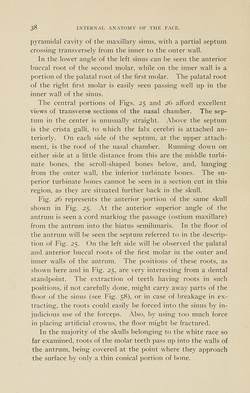 pyramidal cavity of the maxillary sinus, with a partial septum crossing transversely from the inner to the outer wall. In the lower angle of the left sinus can be seen the anterior buccal root of the second molar, while on the inner wall is a portion of the palatal root of the first molar. The palatal root of the right first molar is easily seen passing well up in the inner wall of the sinus. The central portions of Figs. 25 and 26 afford excellent views of transverse sections of the nasal chamber. The sep- tum in the center is unusually straight. Above the septum is the crista galli, to which the falx cerebri is attached an- teriorly. On each side of the septum, at the upper attach- ment, is the roof of the nasal chamber. Running down on either side at a little distance from this are the middle turbi- nate bones, the scroll-shaped bones below, and, hanging from the outer wall, the inferior turbinate bones. The su- perior turbinate bones cannot be seen in a section cut in this region, as they are situated further back in the skull. Fig. 26 represents the anterior portion of the same skull shown in Fig. 25. At the anterior superior angle of the antrum is seen a cord marking the passage (ostium maxillare) from the antrum into the hiatus semilunaris. In the floor of the antrum will be seen the septum referred to in the descrip- tion of Fig. 25. On the left side will be observed the palatal and anterior buccal roots of the first molar in the outer and inner walls of the antrum. The positions of these roots, as shown here and in Fig. 25, are very interesting from a dental standpoint. The extraction of teeth having roots in such positions, if not carefully done, might carry away parts of the floor of the sinus (see Fig. 58), or in case of breakage in ex- tracting, the roots could easily be forced into the sinus by in- judicious use of the forceps. Also, by using too much force in placing artificial crowns, the floor might be fractured. In the majority of the skulls belonging to the white race so far examined, roots of the molar teeth pass up into the walls of the antrum, being covered at the point where they approach the surface by only a thin conical portion of bone.