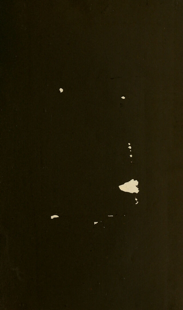 digitised image 3