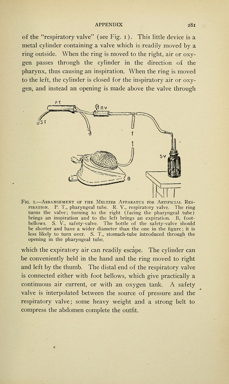 of the respiratory valve (see Fig. i). This Httle device is a metal cylinder containing a valve which is readily moved by a ring outside. When the ring is moved to the right, air or oxy- gen passes through the cylinder in the direction of the pharynx, thus causing an inspiration. When the ring is moved to the left, the cylinder is closed for the inspiratory air or oxy- gen, and instead an opening is made above the valve through Fig. I.—Arrangement of the Meltzer Apparatus rbR Artificial Res- piration. P. T., pharyngeal tube. R. V., respiratory valve. The ring turns the valve; turning to the right (facing the pharyngeal tube) brings an inspiration and to the left brings an expiration. B, foot- bellows. S. v., safety-valve. The bottle of the safety-valve should be shorter and have a wider diameter than the one in the figure; it is less likely to turn over. S. T., stomach-tube introduced through the opening in the pharyngeal tube. which the expiratory air can readily escape. The cylinder can be conveniently held in the hand and the ring moved to right and left by the thumb. The distal end of the respiratory valve is connected either with foot bellows, which give practically a continuous air current, or with an oxygen tank. A safety valve is interpolated between the source of pressure and the respiratory valve; some heavy weight and a strong belt to compress the abdomen complete the outfit.