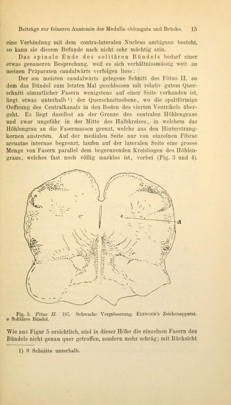 eine Verbindung mit dem contra-lateralen Nucleus ambiguus besteht, so kann sie diesem Befunde nach nicht sehr mächtig sein. Das spinale Ende des solitären Bündels bedarf einer etwas genaueren Besprechung, weil es sich verhältnissmässig weit an meinen Präparaten caudalwärts verfolgen Hess: Der am meisten caudalwärts gelegene Schnitt des Fötus II, an dem das Bündel zum letzten Mal geschlossen mit relativ gutem Quer- schnitt sämmtlicher Fasern wenigstens auf einer Seite vorhanden ist, liegt etwas unterhalb^) der Querschnittsebene, wo die spaltförmige Oeffnung des Centralkanals in den Boden des vierten Ventrikels über- geht. Es liegt daselbst an der Grenze des centralen Höhlengraus und zwar ungefähr in der Mitte des Halbkreises, in welchem das Höhlengrau an die Fasermassen grenzt, welche aus den Hinterstrang- kernen austreten. Auf der medialen Seite nur von einzelnen Fibrae arcuatae internae begrenzt, laufen auf der lateralen Seite eine grosse Menge von Fasern parallel dem begrenzenden Kreisbogen des Höhlen- graus, welches fast noch völlig marklos ist, vorbei (Fig. 3 und 4). Fig. 3. Fötus IL 187. Schwache Vcrgrösserung. Edixger's Zeichenapparat. a Solitäres Bündel. Wie aus Figur 5 ersichtlich, sind in dieser Höhe die einzelnen Fasern des Bündels nicht genau quer getroffen, sondern mehr schräg; mit Rücksicht 1) 9 Schnitte unterhalb.