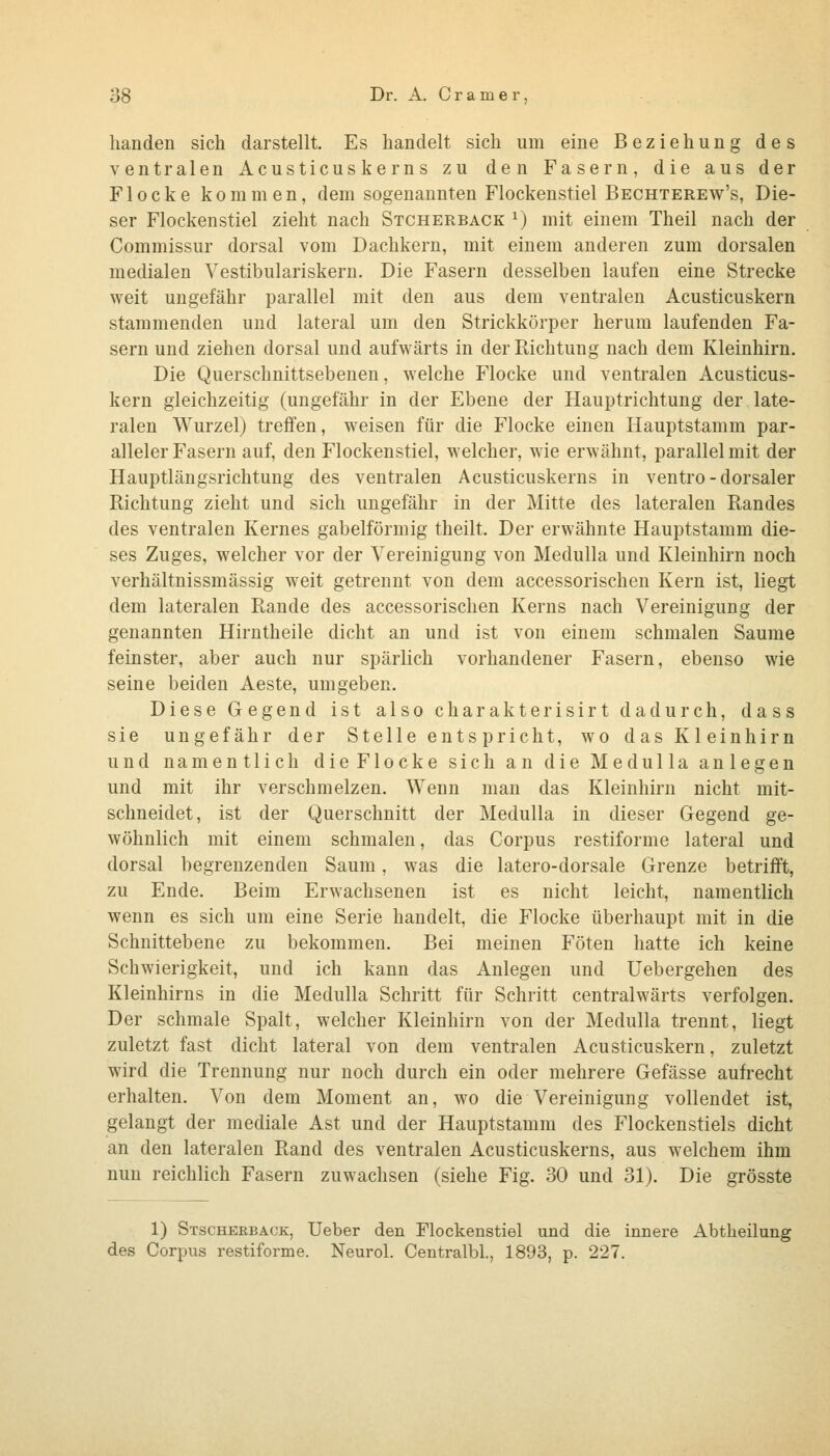 banden sich darstellt. Es handelt sich um eine Beziehung des ventralen Acusticuskerns zu den Fasern, die aus der Flocke kommen, dem sogenannten Flockenstiel Bechterew's, Die- ser Flockenstiel zieht nach Stcherback ^) mit einem Theil nach der Commissur dorsal vom Dachkern, mit einem anderen zum dorsalen medialen Yestibulariskern. Die Fasern desselben laufen eine Strecke weit ungefähr parallel mit den aus dem ventralen Acusticuskern stammenden und lateral um den Strickkörper herum laufenden Fa- sern und ziehen dorsal und aufwärts in der Richtung nach dem Kleinhirn. Die Querschnittsebenen, welche Flocke und ventralen Acusticus- kern gleichzeitig (ungefähr in der Ebene der Hauptrichtung der late- ralen Wurzel) treffen, weisen für die Flocke einen Hauptstamm par- alleler Fasern auf, den Flockenstiel, welcher, wie erwähnt, parallel mit der Hauptlängsrichtung des ventralen Acusticuskerns in ventro - dorsaler Richtung zieht und sich ungefähr in der Mitte des lateralen Randes des ventralen Kernes gabelförmig theilt. Der erwähnte Hauptstamm die- ses Zuges, welcher vor der Vereinigung von Medulla und Kleinhirn noch verhältnissmässig weit getrennt von dem accessorischen Kern ist, liegt dem lateralen Rande des accessorischen Kerns nach Vereinigung der genannten Hirntheile dicht an und ist von einem schmalen Saume feinster, aber auch nur spärlich vorhandener Fasern, ebenso wie seine beiden Aeste, umgeben. Diese Gegend ist also charakterisirt dadurch, dass sie ungefähr der Stelle entspricht, wo das Kleinhirn und namentlich die Flocke sich an die Medulla anlegen und mit ihr verschmelzen. Wenn man das Kleinhirn nicht mit- schneidet, ist der Querschnitt der Medulla in dieser Gegend ge- wöhnlich mit einem schmalen, das Corpus restiforme lateral und dorsal begrenzenden Saum, was die latero-dorsale Grenze betrifft, zu Ende. Beim Erwachsenen ist es nicht leicht, namentlich wenn es sich um eine Serie handelt, die Flocke überhaupt mit in die Schnittebene zu bekommen. Bei meinen Föten hatte ich keine Schwierigkeit, und ich kann das Anlegen und Uebergehen des Kleinhirns in die Medulla Schritt für Schritt centralwärts verfolgen. Der schmale Spalt, welcher Kleinhirn von der Medulla trennt, liegt zuletzt fast dicht lateral von dem ventralen Acusticuskern, zuletzt wird die Trennung nur noch durch ein oder mehrere Gefässe aufrecht erhalten. Von dem Moment an, wo die Vereinigung vollendet ist, gelangt der mediale Ast und der Hauptstamm des Flockenstiels dicht an den lateralen Rand des ventralen Acusticuskerns, aus welchem ihm nun reichlich Fasern zuwachsen (siehe Fig. 30 und 31). Die grösste 1) Stscheeback, Ueber den Flockenstiel und die innere Abtheilung des Corpus restiforme. Neurol. Centralbl., 1893, p. 227.