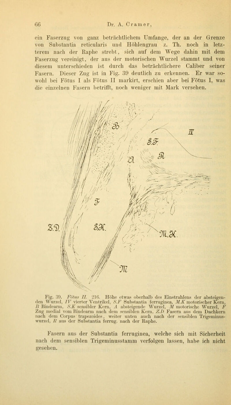 ein Faserzug von ganz beträchtlichem Umfange, der an der Grenze von Substantia reticularis und Höhlengrau z. Th. noch in letz- terem nach der Raphe strebt, sich auf dem Wege dahin mit dem Faserzug vereinigt, der aus der motorischen Wurzel stammt und von diesem unterschieden ist durch das beträchtlichere Caliber seiner Fasern. Dieser Zug ist in Fig. 39 deutlich zu erkennen. Er war so- wohl bei Fötus I als Fötus II markirt, erschien aber bei Fötus I, was die einzelnen Fasern betrifft, noch weniger mit Mark versehen. Fig. 39. Fötus IL 216. Höhe etwas oberhalb des Einstrahlens der absteigen- den Wurzel, IV vierter Ventrikel, S.F Substantia ferruginea, M.K motorischer Kern, B Bindeann, S.K sensibler Kern, A absteigende Wurzel, M motorische Wurzel, F Zug medial vom Bindearm nach dem sensiblen Kern, Z.D Fasern aus dem Dachkern nach dem Corpus trapezoides, weiter unten auch nach der sensiblen Trigeminus- wurzel, R aus der Substantia ferrug. nach der Raphe. Fasern aus der Substantia ferruginea, welche sich mit Sicherheit nach dem sensiblen Trigeminusstamm verfolgen lassen, habe ich nicht gesehen.