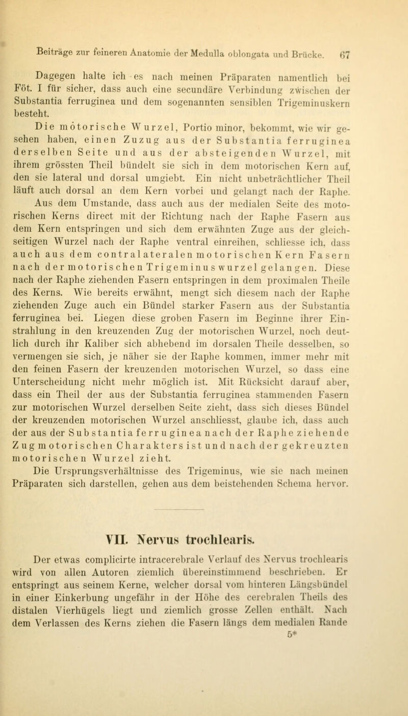 Dagegen halte ich es nach meinen Präparaten namentlicli bei Föt. I für sicher, dass auch eine secundäre Verbindung zwischen der Substantia ferruginea und dem sogenannten sensiblen Trigeminuskern besteht. Die motorische Wurzel, Portio minor, bekommt, wie wir ge- sehen haben, einen Zuzug aus der Substantia ferruginea derselben Seite und aus der absteigenden Wurzel, mit ihrem grössten Theil bündelt sie sich in dem motorischen Kern auf, den sie lateral und dorsal umgiebt. Ein nicht unbeträchtlicher Theil läuft auch dorsal an dem Kern vorbei und gelangt nach der Raphe. Aus dem Umstände, dass auch aus der medialen Seite des moto- rischen Kerns direct mit der Richtung nach der Raphe Fasern aus dem Kern entspringen und sich dem erwähnten Zuge aus der gleich- seitigen Wurzel nach der Raphe ventral einreihen, schliesse ich, dass auch aus dem contralateralen motorischen Kern Fasern nach dermotorischenTrigeminuswurzel gelangen. Diese nach der Raphe ziehenden Fasern entspringen in dem proximalen Theile des Kerns. Wie bereits erwähnt, mengt sich diesem nach der Raphe ziehenden Zuge auch ein Bündel starker Fasern aus der Substantia ferruginea bei. Liegen diese groben Fasern im Beginne ihrer Ein- strahlung in den kreuzenden Zug der motorischen Wurzel, noch deut- lich durch ihr Kaliber sich abhebend im dorsalen Theile desselben, so vermengen sie sich, je näher sie der Raphe kommen, immer mehr mit den feinen Fasern der kreuzenden motorischen Wurzel, so dass eine Unterscheidung nicht mehr möglich ist. Mit Rücksicht darauf aber, dass ein Theil der aus der Substantia ferruginea stammenden Fasern zur motorischen Wurzel derselben Seite zieht, dass sich dieses Bündel der kreuzenden motorischen Wurzel anschliesst, glaube ich, dass auch der aus der Substantiaferrugineanach der Rap bezieh ende ZugmotorischenCharaktersistundnachd ergekreuzten motorischen Wurzel zieht. Die Ursprungsverhältnisse des Trigeniinus, wie sie nach meinen Präparaten sich darstellen, gehen aus dem beistehenden Schema hervor. VII. Nervus trochlearis. Der etwas complicirte intracerebrale Verlauf des Nervus trochlearis wird von allen Autoren ziemlich übereinstimmend beschrieben. Er entspringt aus seinem Kerne, welcher dorsal vom hinteren Längsbündel in einer Einkerbung ungefähr in der Höhe des cerel)ralen Tlieils des distalen Vierhügels liegt und ziemlich grosse Zellen enthält. Nach dem Verlassen des Kerns ziehen die Fasern längs dem medialen Rande