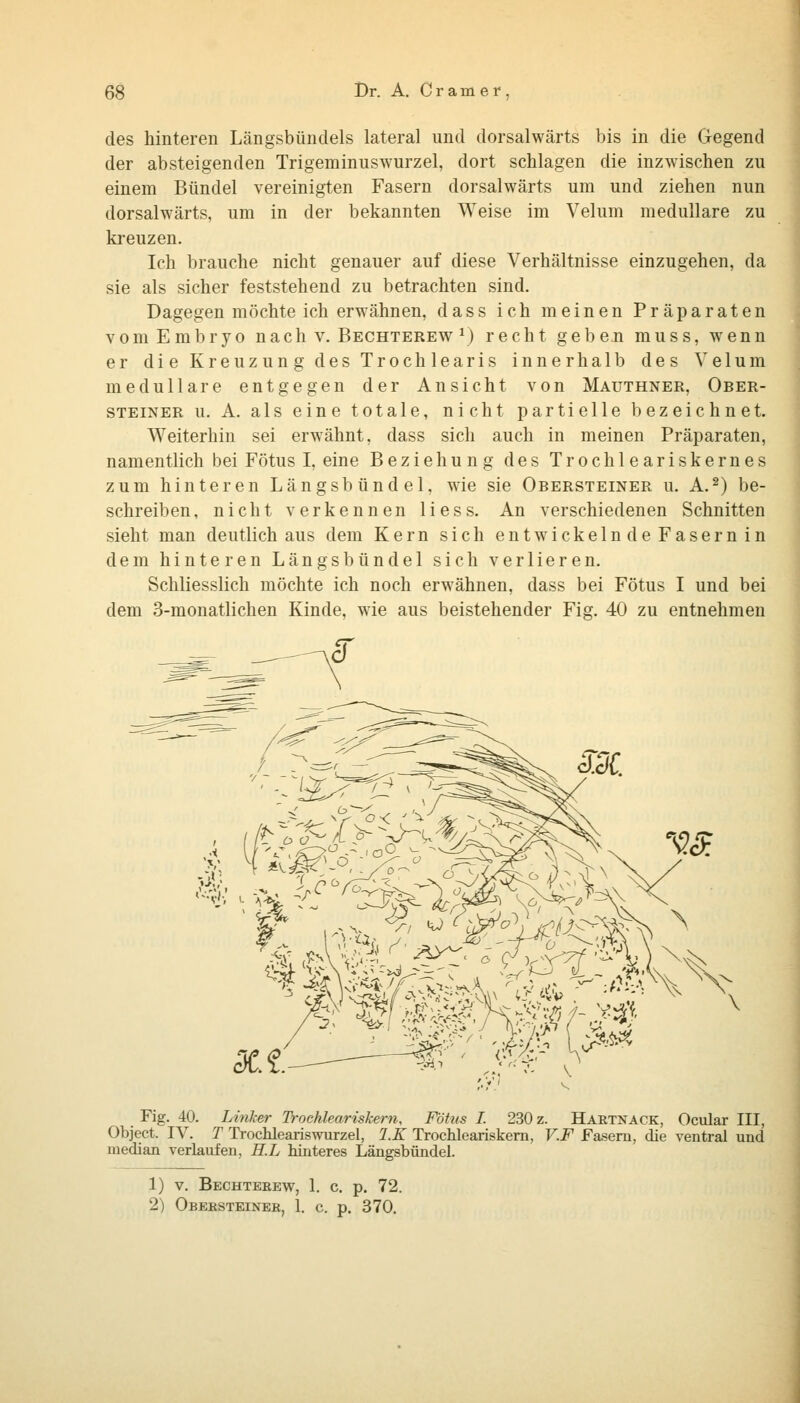 des hinteren Längsbündels lateral und dorsalwärts bis in die Gegend der absteigenden Trigeminuswurzel, dort schlagen die inzwischen zu einem Bündel vereinigten Fasern dorsalwärts um und ziehen nun dorsalwärts, um in der bekannten Weise im Velum medulläre zu kreuzen. Ich brauche nicht genauer auf diese Verhältnisse einzugehen, da sie als sicher feststehend zu betrachten sind. Dagegen möchte ich erwähnen, dass ich meinen Präparaten vom Embryo nach v. Bechterew ^) recht geben muss, wenn er die Kreuzung des Trochlearis innerhalb des Velum medulläre entgegen der Ansicht von Mauthner, Ober- steiner u. A. als eine totale, nicht partielle bezeichnet. Weiterhin sei erwähnt, dass sich auch in meinen Präparaten, namentlich bei Fötus I, eine Beziehung des Trochleariskernes zum hinteren Längsbündel, wie sie Obersteiner u. A.^) be- schreiben, nicht verkennen Hess. An verschiedenen Schnitten sieht man deutlich aus dem Kern sich entwickelnde Fasern in dem hinteren Längsbündel sich verlieren. Schliesslich möchte ich noch erwähnen, dass bei Fötus I und bei dem 3-monatlichen Kinde, wie aus beistehender Fig. 40 zu entnehmen dc.i. <•',<::.' V Fig. 40. Linker Trochleariskern, Fötus I. 230 z. Hartnack, Ocular III, Object. IV. T Trochleariswurzel, l.K Trochleariskem, V.F Fasern, die ventral und median verlaufen, H.L hinteres Längsbündel. 1) V. Bechteeew, 1. c. p. 72. 2) Obersteiner, 1. c. p. 370.