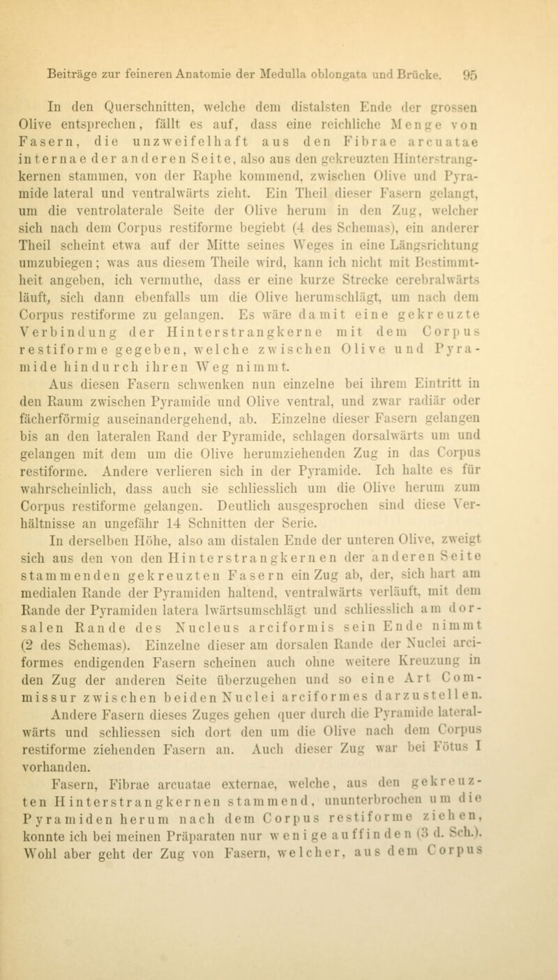 In den Querschnitten, welche dem distalsten Ende der grossen Olive entsprechen, fällt es auf, dass eine reichliche Menge von Fasern, die unzweifelhaft aus den Fibrae arcuatae internae der anderen Seite, also aus den gekreuzten Hinterstrang- kernen stammen, von der Raphe kommend, zwischen Olive und Pyra- mide lateral und ventralwärts zieht. Ein Theil dieser Fasern gelangt, um die ventrolaterale Seite der Olive herum in den Zug, welcher sich nach dem Corpus restiforme begiebt (4 des Schemas), ein anderer Theil scheint etwa auf der Mitte seines Weges in eine Längsrichtung umzubiegen; was aus diesem Theile wird, kann ich nicht mit Bestimmt- heit angeben, ich vermuthe, dass er eine kurze Strecke cerebralwärts läuft, sich dann ebenfalls um die Olive herumschlägt, um nach dem Corpus restiforme zu gelangen. Es wäre damit eine gekreuzte Verbindung der Hinter st rangkerne mit dem Corpus restiforme gegeben, welche zwischen Olive und Pyra- mide hindurch ihren Weg n i m m t. Aus diesen Fasern schwenken nun einzelne bei ihrem Eintritt in den Raum zwischen Pyramide und Olive ventral, und zwar radiär oder fächerförmig auseinandergehend, ab. Einzelne dieser Fasern gelangen bis an den lateralen Rand der Pyramide, schlagen dorsalwärts um und gelangen mit dem um die Olive herumziehenden Zug in das Corpus restiforme. Andere verlieren sich in der Pyramide. Ich halte es für wahrscheinlich, dass auch sie schliesslich um die Olive herum zum Corpus restiforme gelangen. Deutlich ausgesprochen sind diese ^'er- hältnisse an ungefähr 14 Schnitten der Serie. In derselben Höhe, also am distalen Ende der unteren Olive, zweigt sich aus den von den Hin te r strangkern en der anderen Seite stammenden gekreuzten Fasern ein Zug ab, der, sich hart am medialen Rande der Pyramiden haltend, ventralwärts verläuft, mit dem Rande der Pyramiden latera Iwärtsumschlägt und schliesslich am dor- salen Rande des Nucleus arciformis sein Ende nimmt (2 des Schemas). Einzelne dieser am dorsalen Rande der Nuclei arci- formes endigenden Fasern scheinen auch ohne weitere Kreuzung in den Zug der anderen Seite überzugehen und so eine Art Com- missur zwischen beidenNuclei arciformes darzustellen. Andere Fasern dieses Zuges gehen ([uer durch die Pyramide lateral- wärts und schliessen sich dort den um die Olive nach dem Corpus restiforme ziehenden Fasern an. Auch dieser Zug war bei Fötus I vorhanden. Fasern, Fibrae arcuatae externae, welche, aus den gekreuz- ten Hinterstrangkernen stammend, ununterbrochen um die Pyramiden herum nach dem Corpus restiforme ziehen, konnte ich bei meinen Präparaten nur w e n i ge a u f f i n d e n (3 d. Seh.). Wohl aber geht der Zug von Fasern, welcher, aus dem Corpus